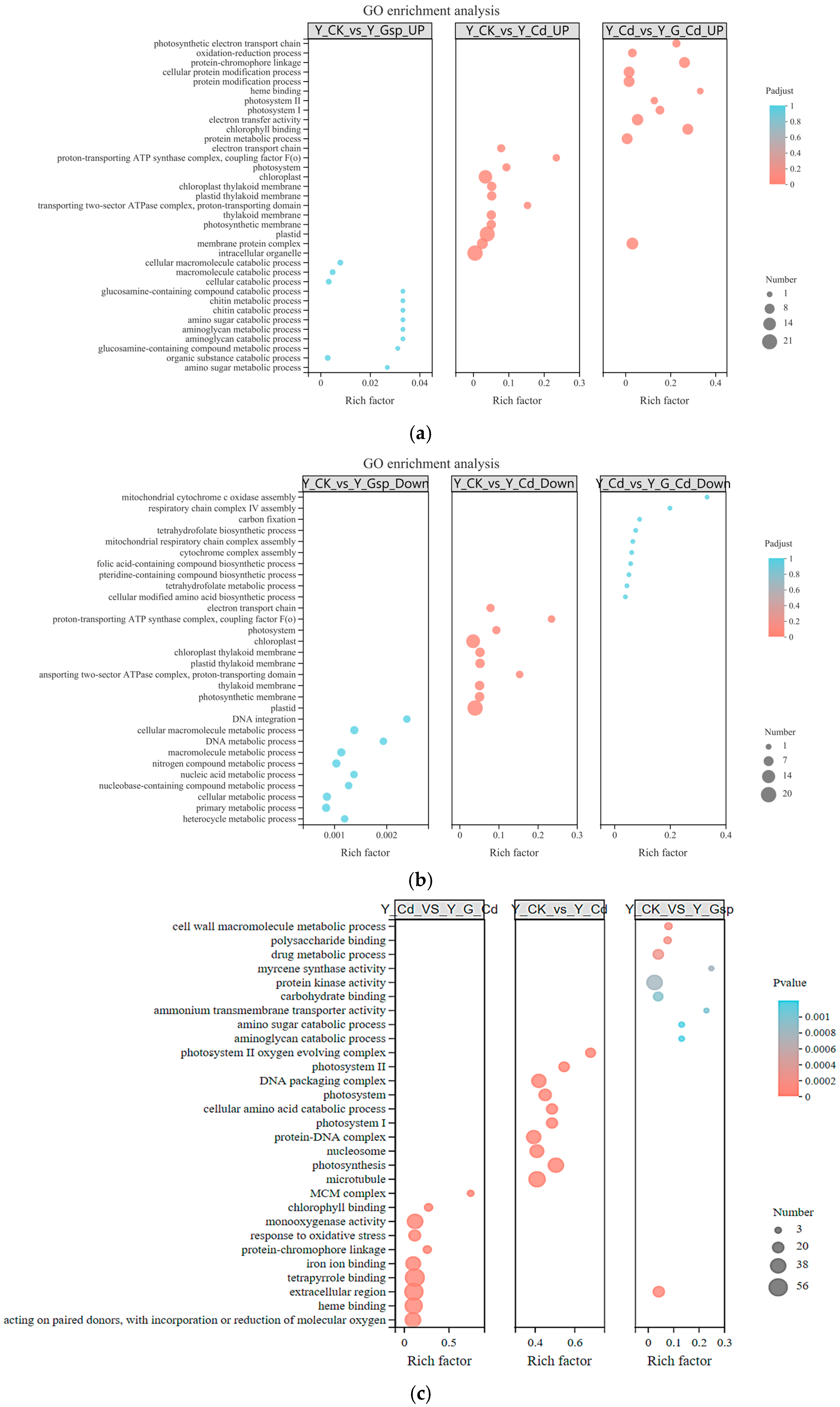 Plants 11 02364 g005