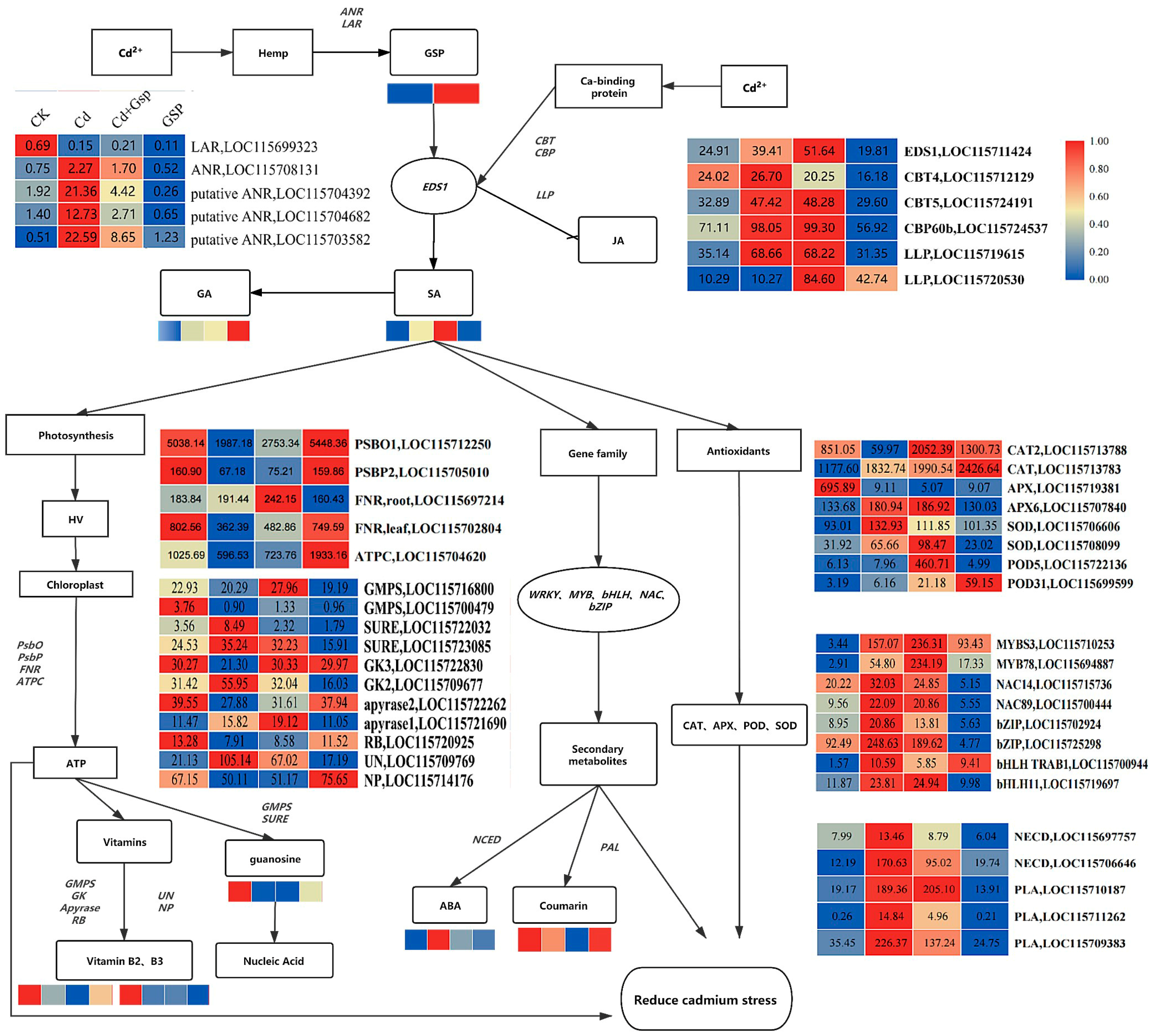 Plants 11 02364 g010