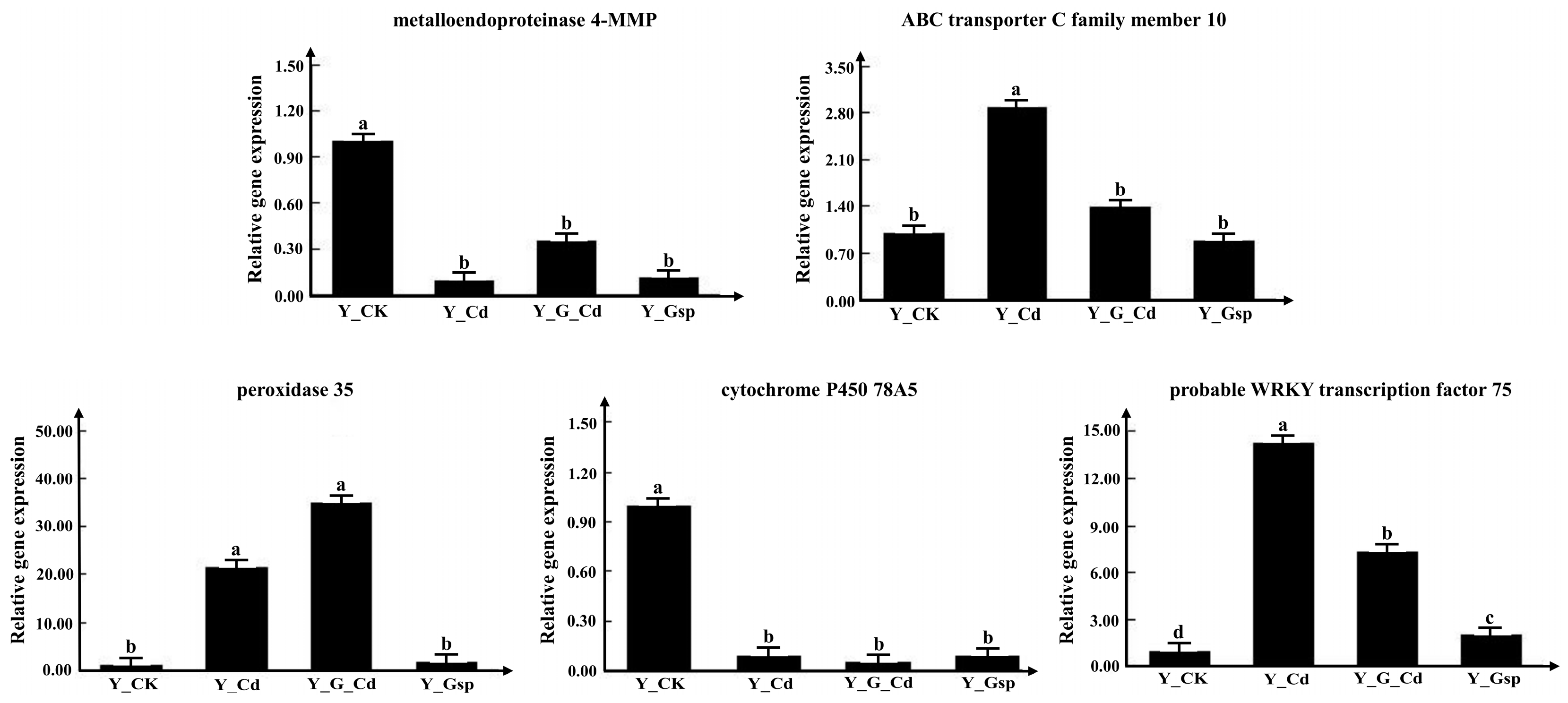 Plants 11 02364 g011