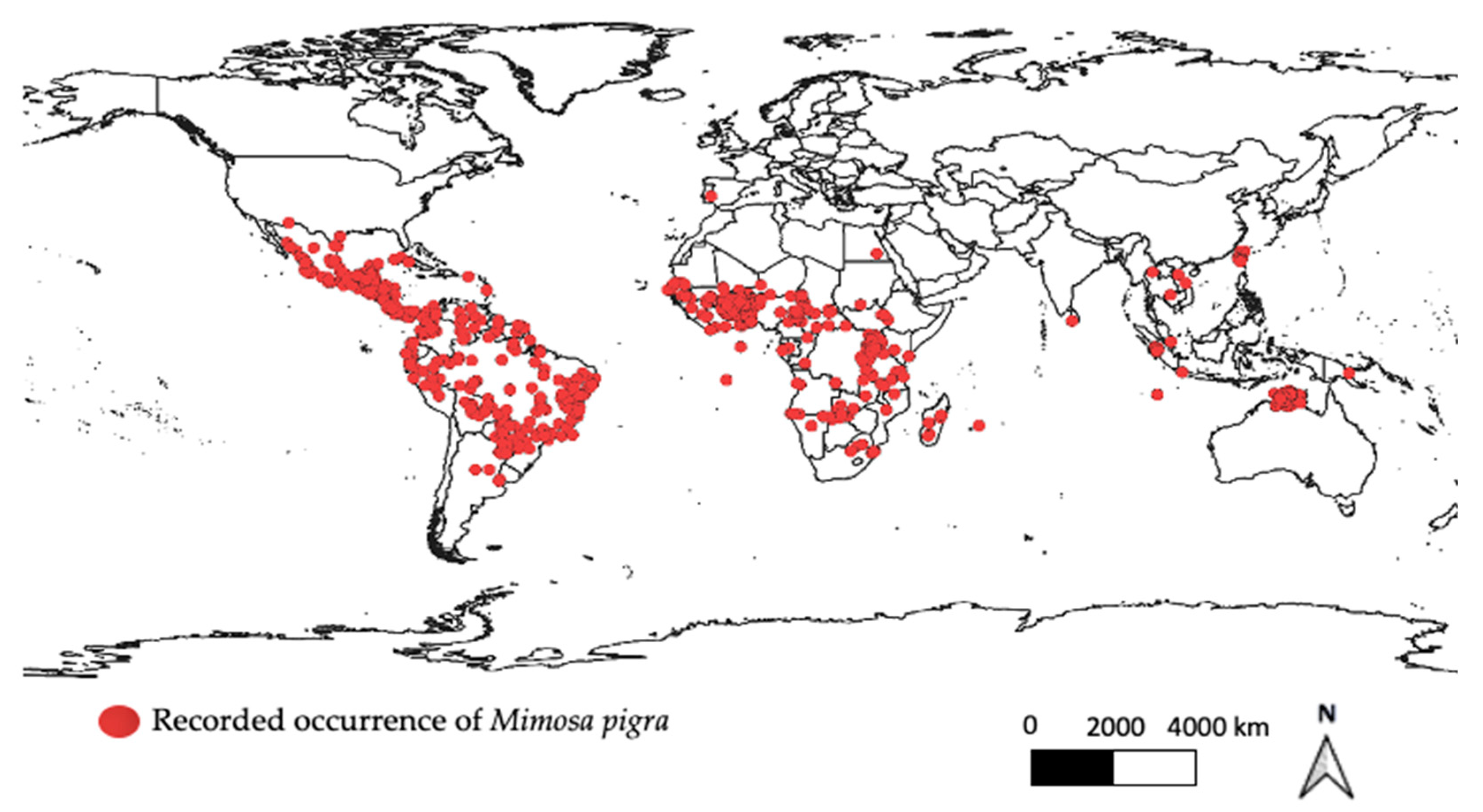 Plants 11 02366 g001