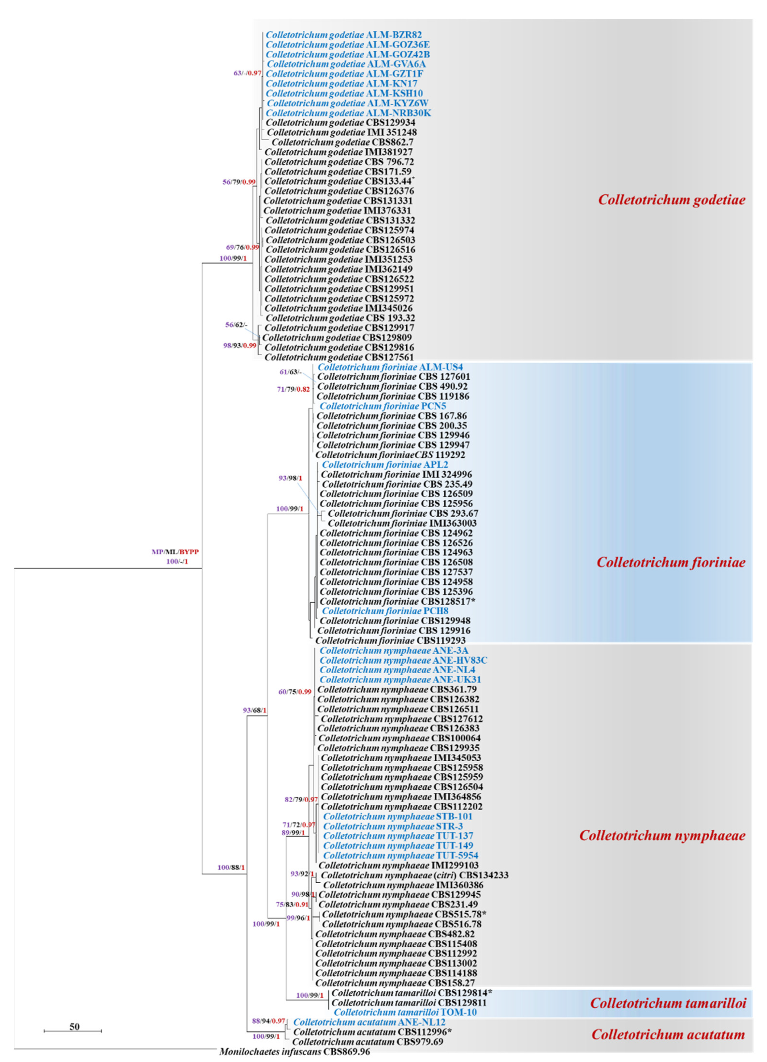Plants 11 02373 g002