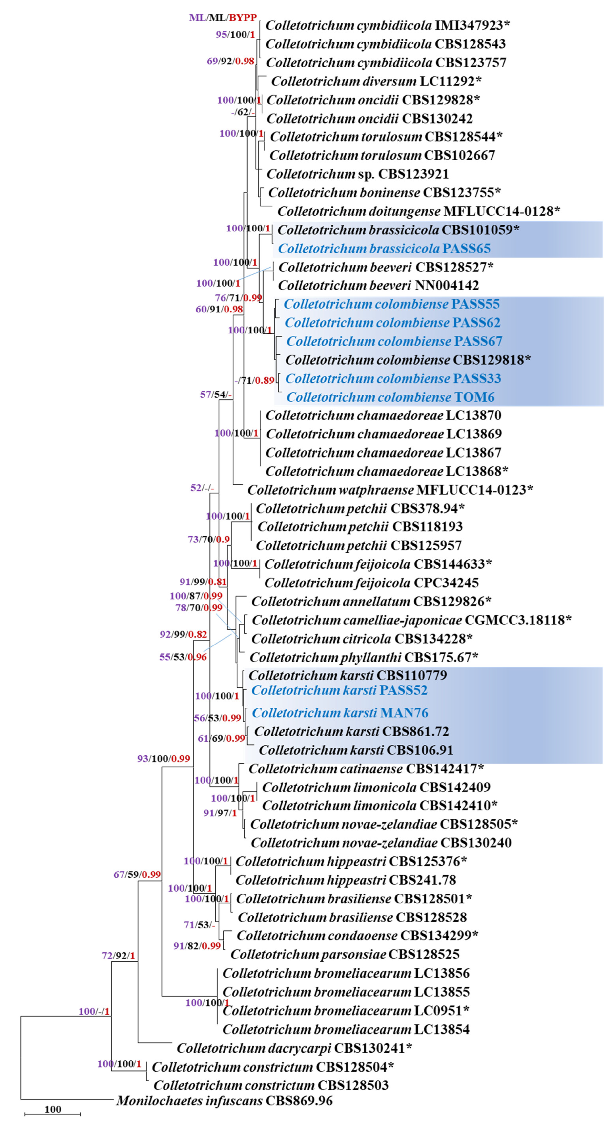 Plants 11 02373 g003