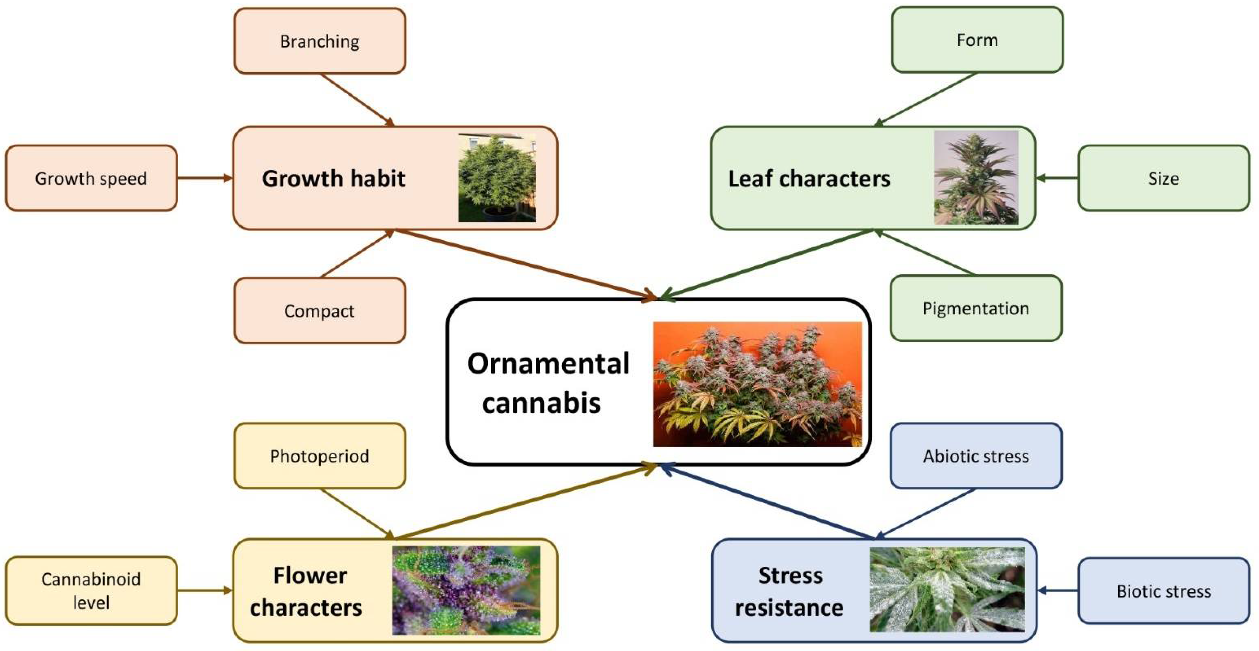 Plants 11 02383 g003 550