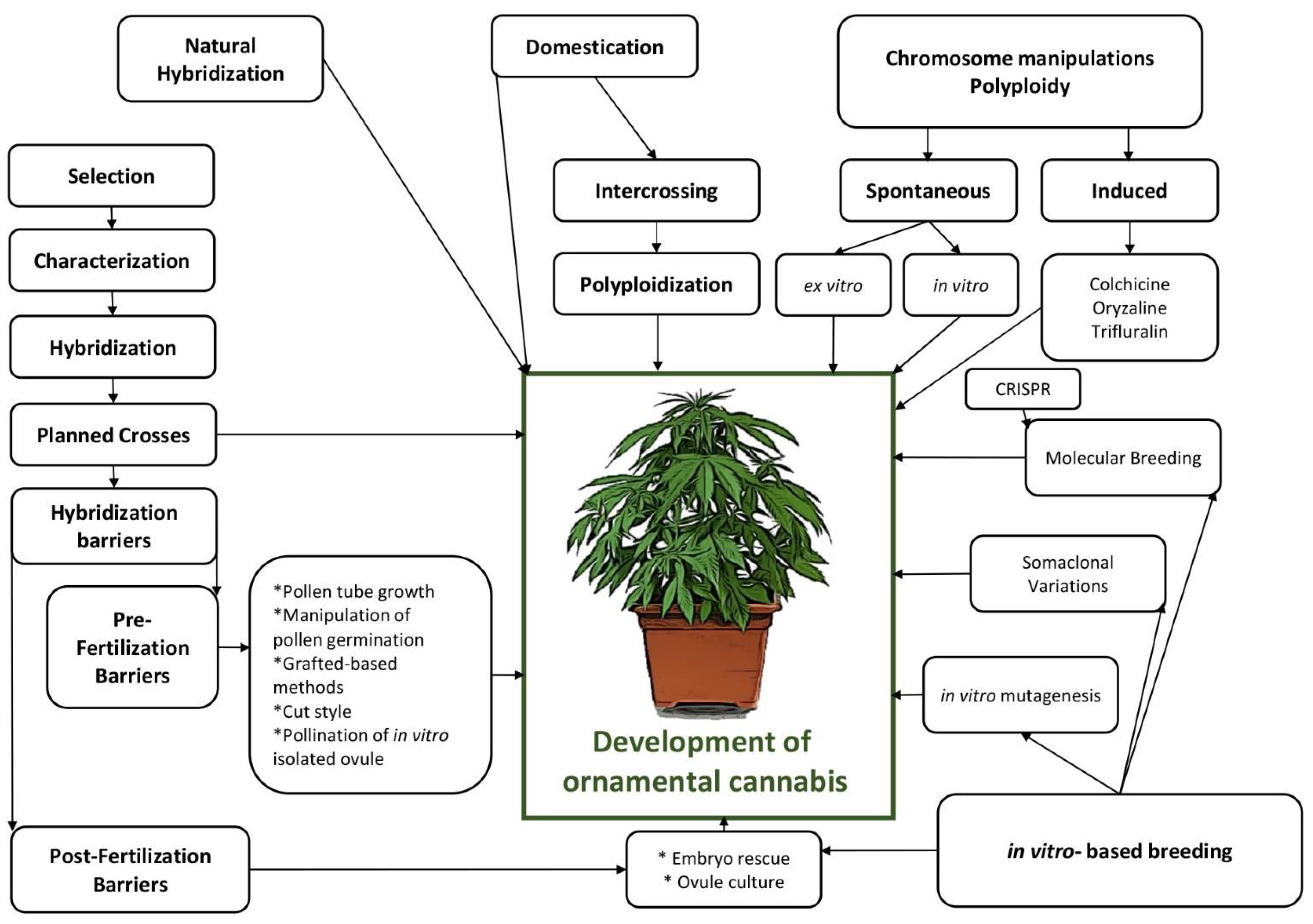 Plants 11 02383 g004 550