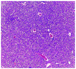 Plants 11 02389 i001