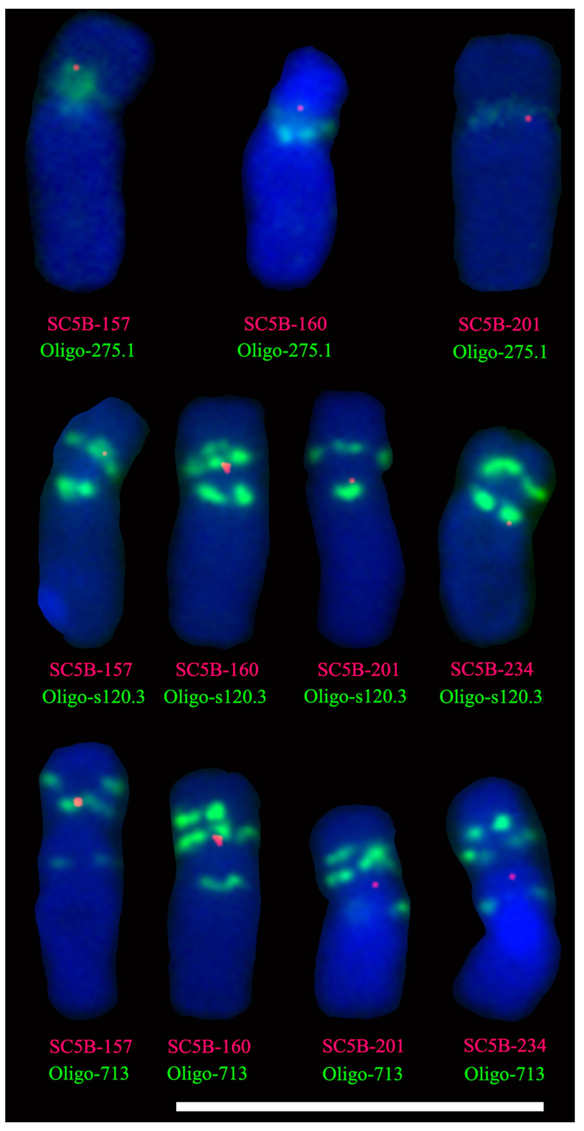 Plants 11 02394 g003