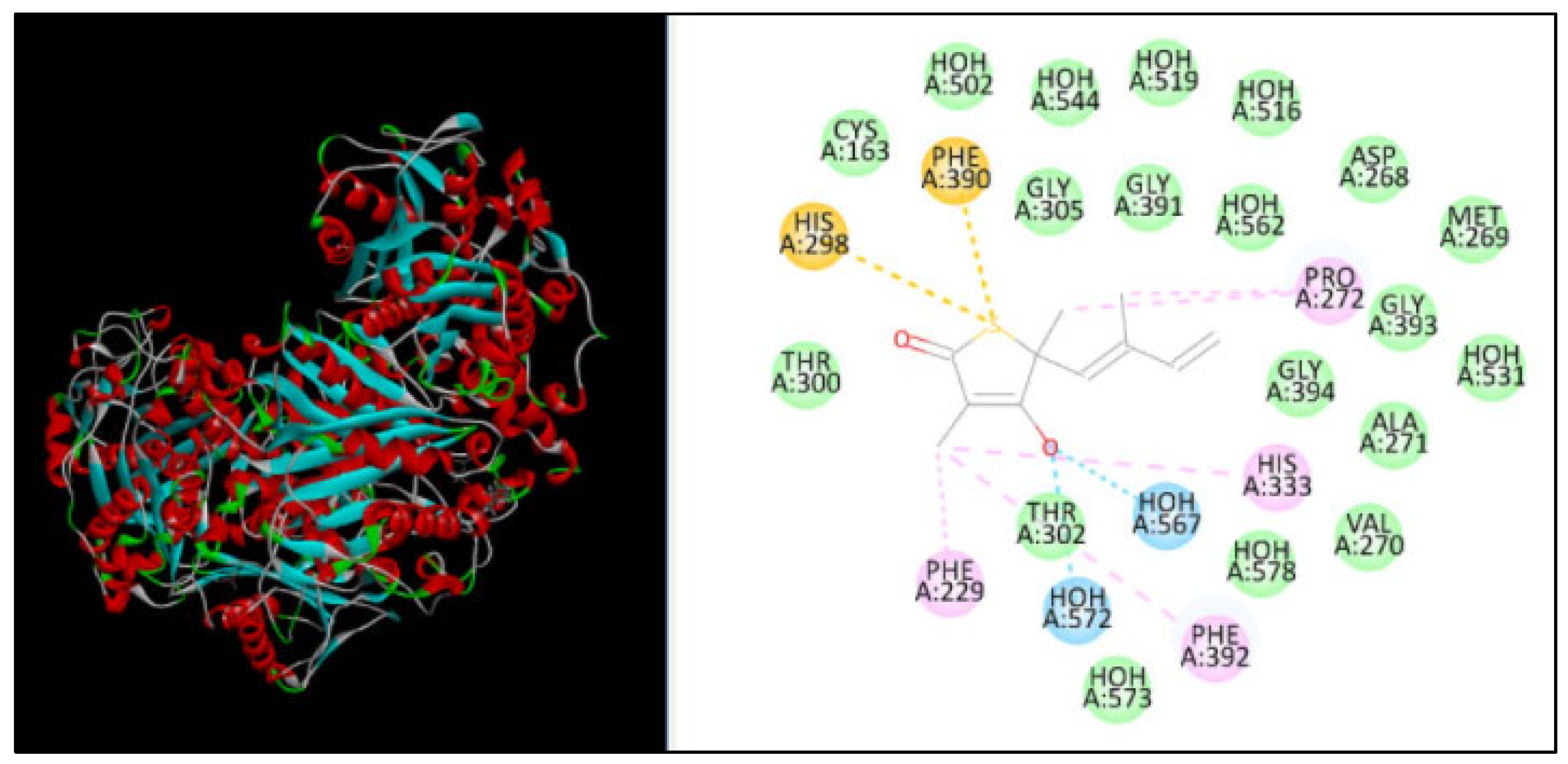 Plants 11 02395 g004 550