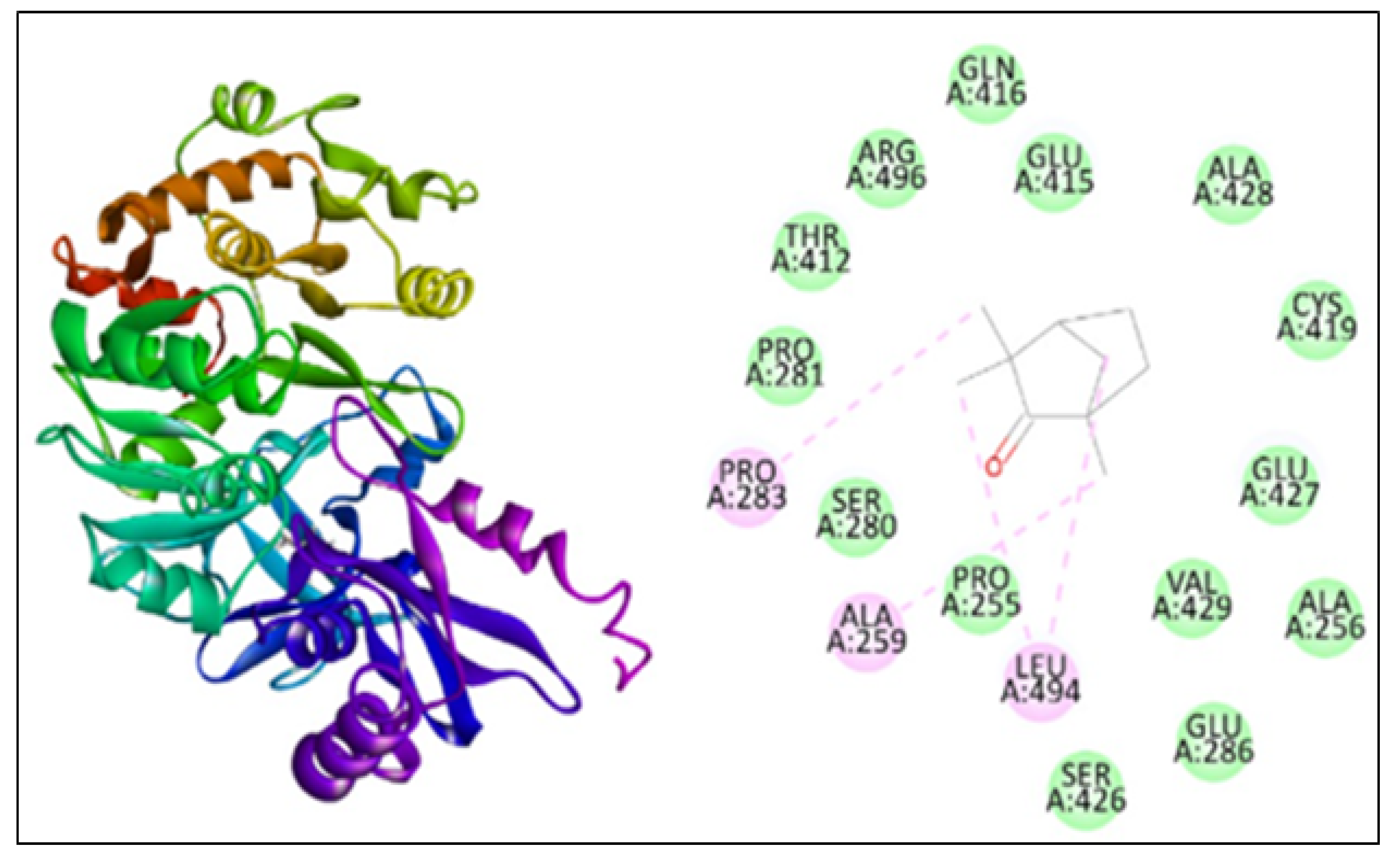 Plants 11 02395 g005 550