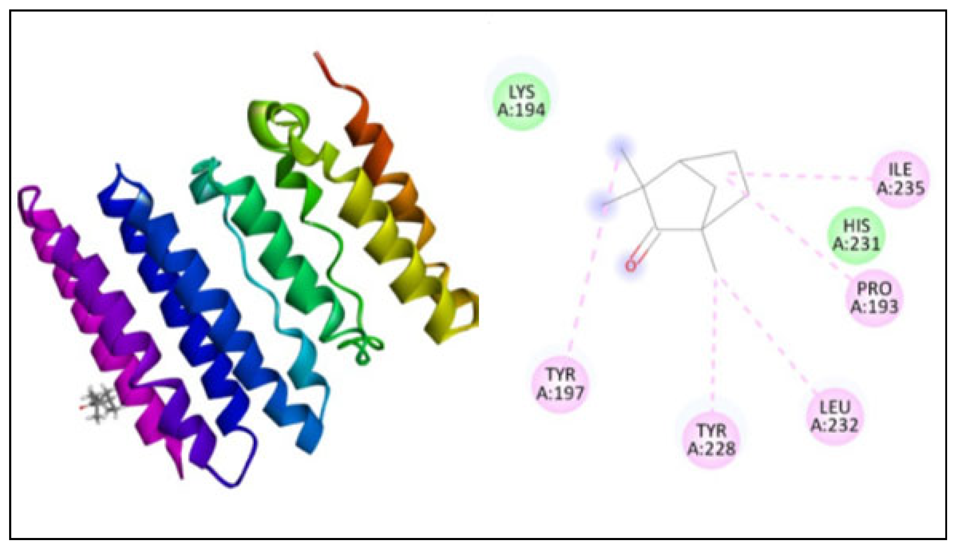 Plants 11 02395 g006 550