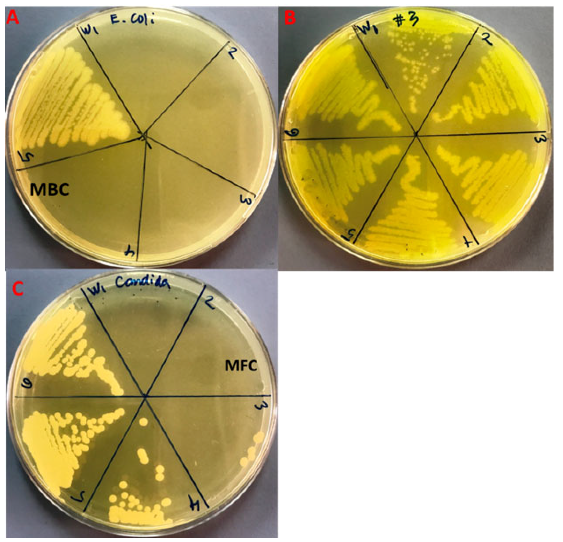 Plants 11 02395 g007 550