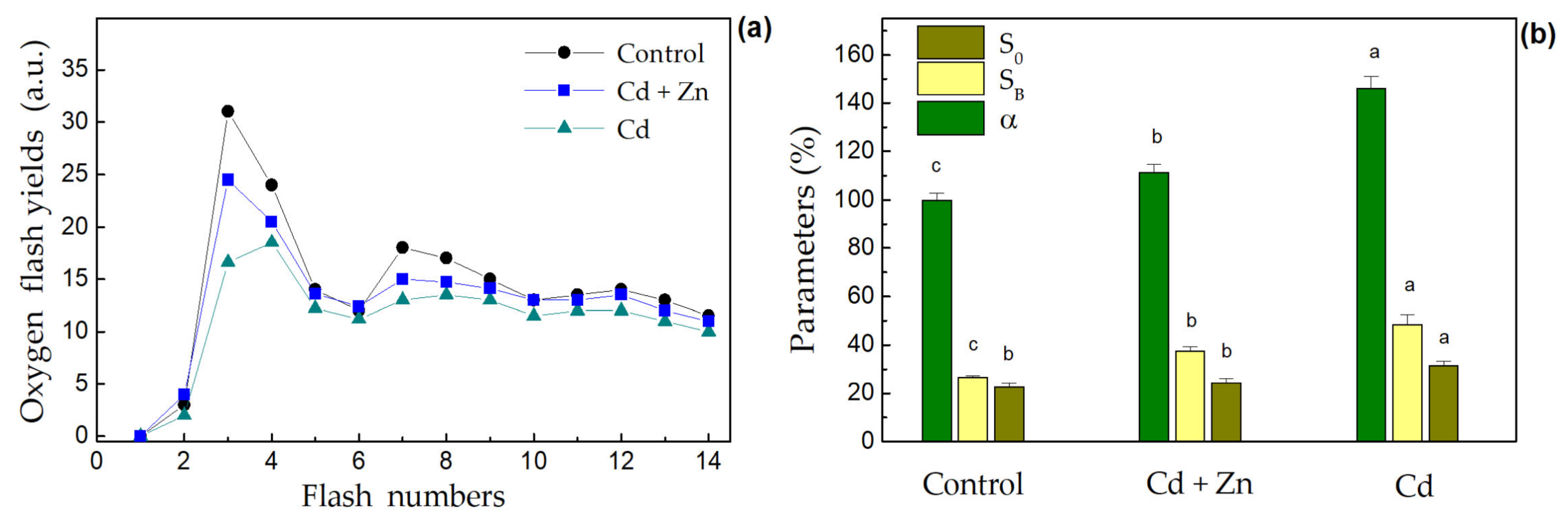 Plants 11 02407 g004 550