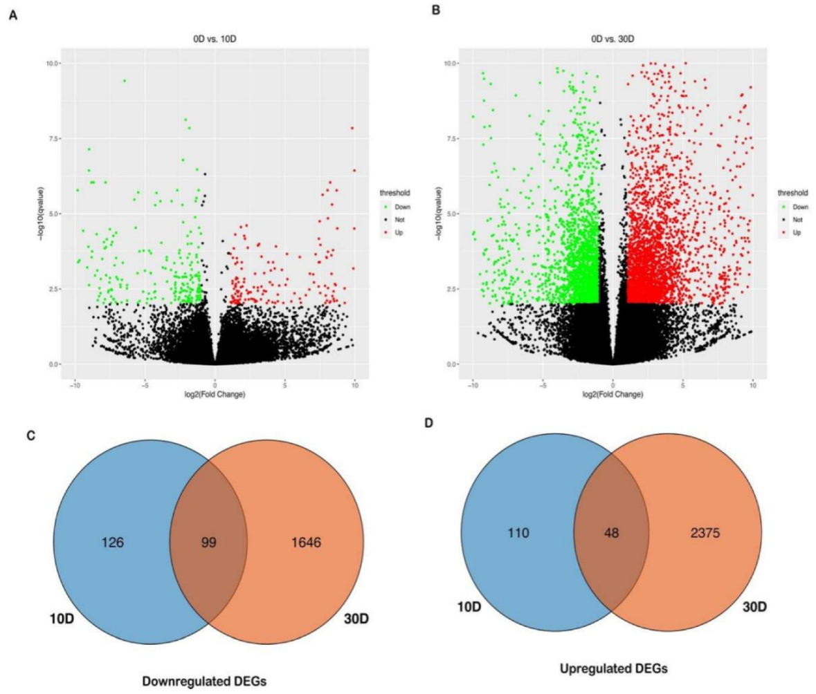 Plants 11 02417 g003