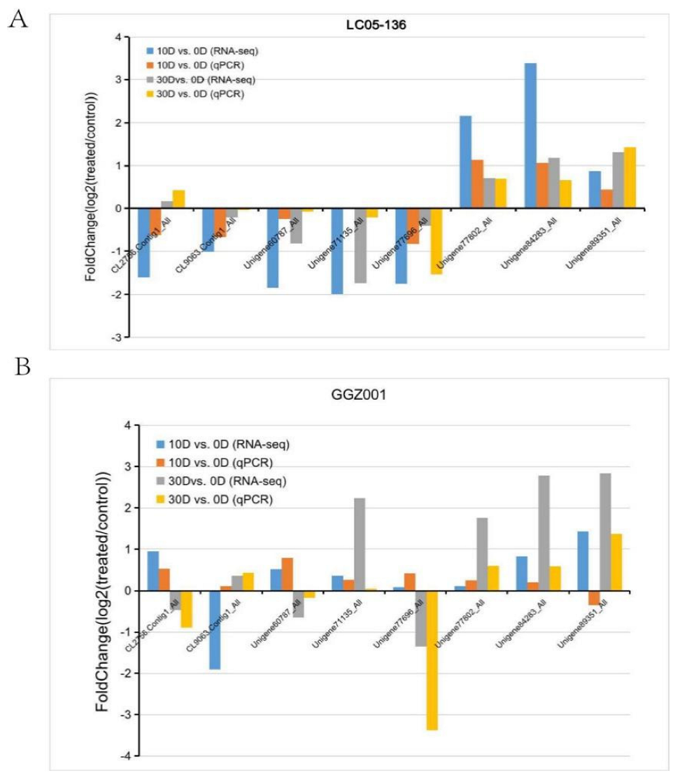 Plants 11 02417 g004