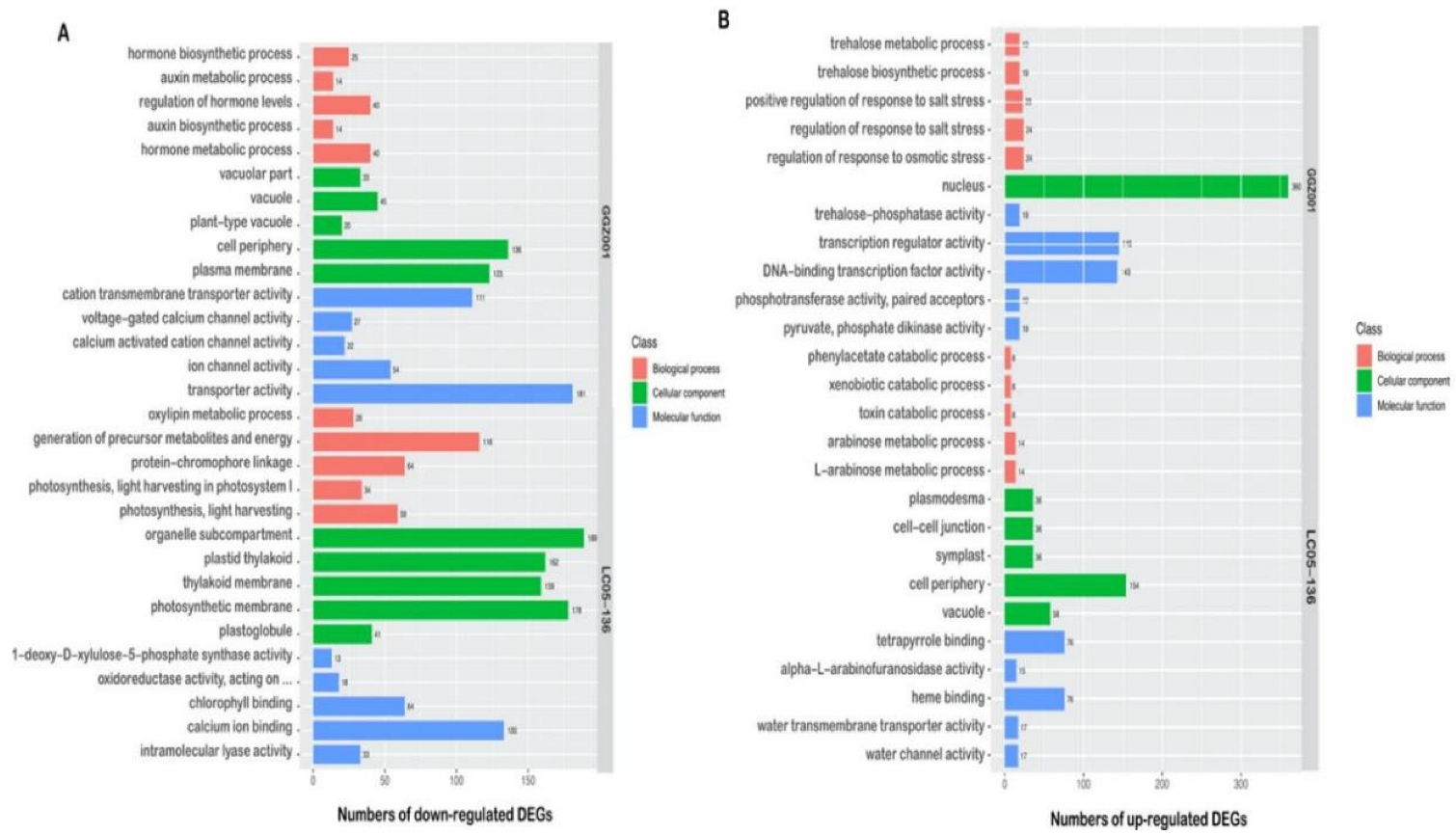 Plants 11 02417 g005