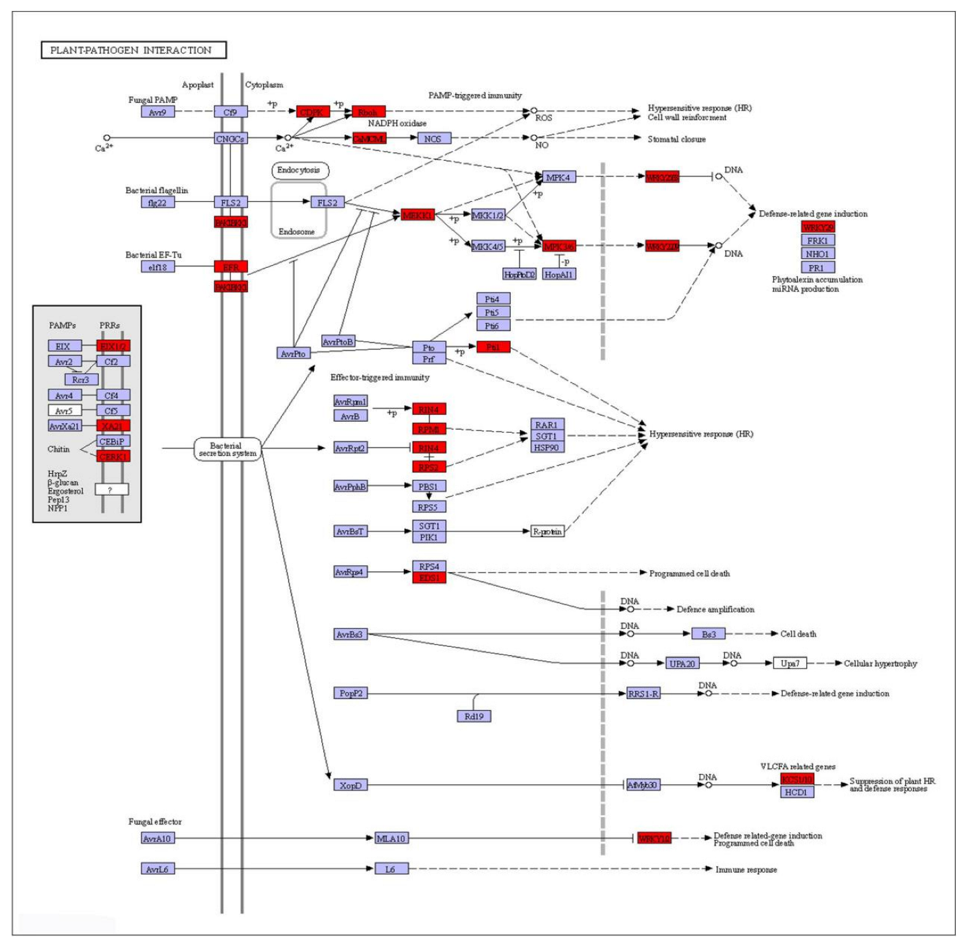 Plants 11 02417 g008