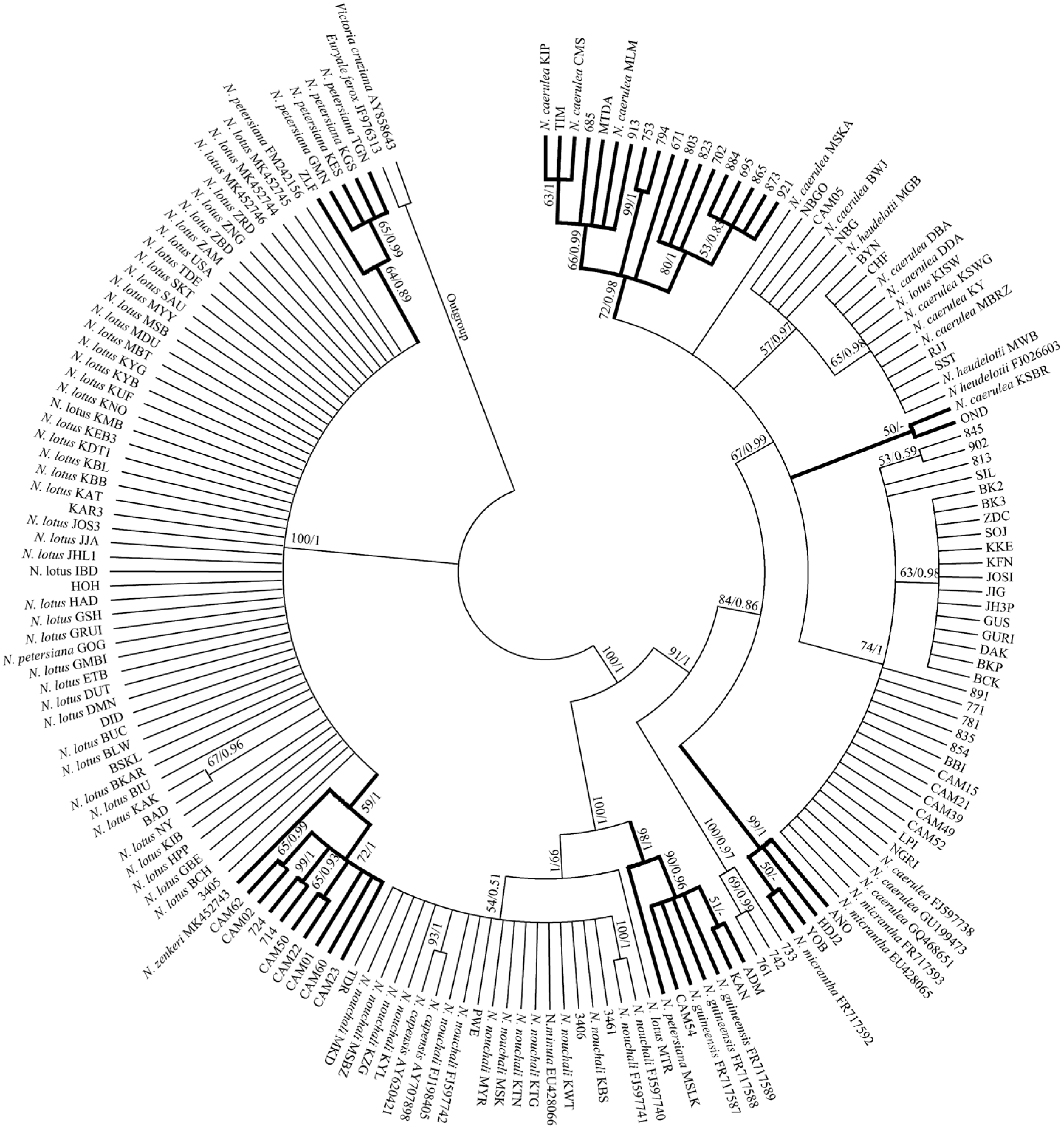 Plants 11 02431 g001 Plants 11 02431 g001