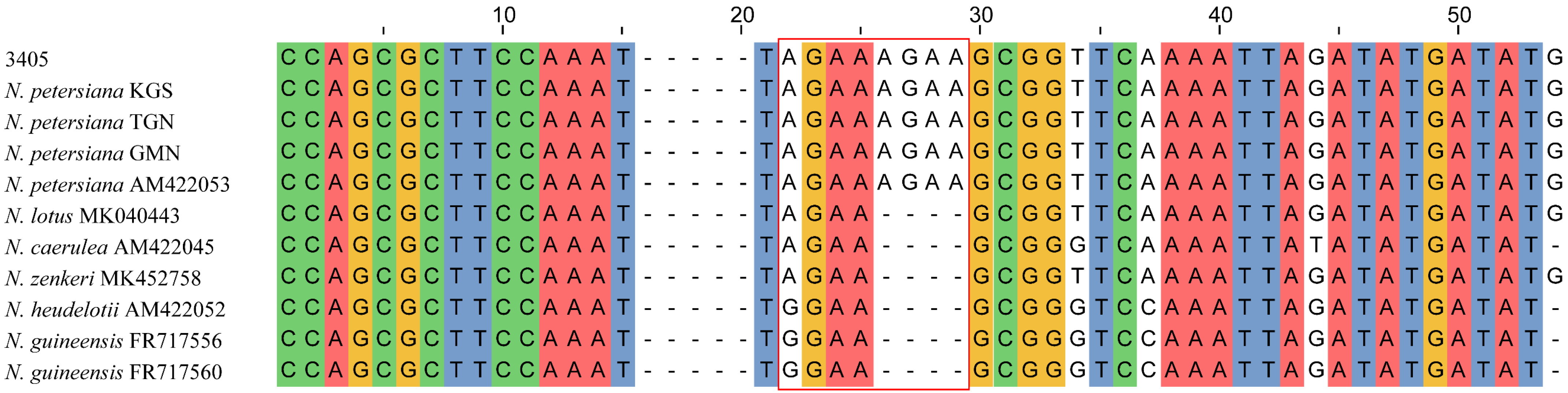 Plants 11 02431 g002 Plants 11 02431 g002