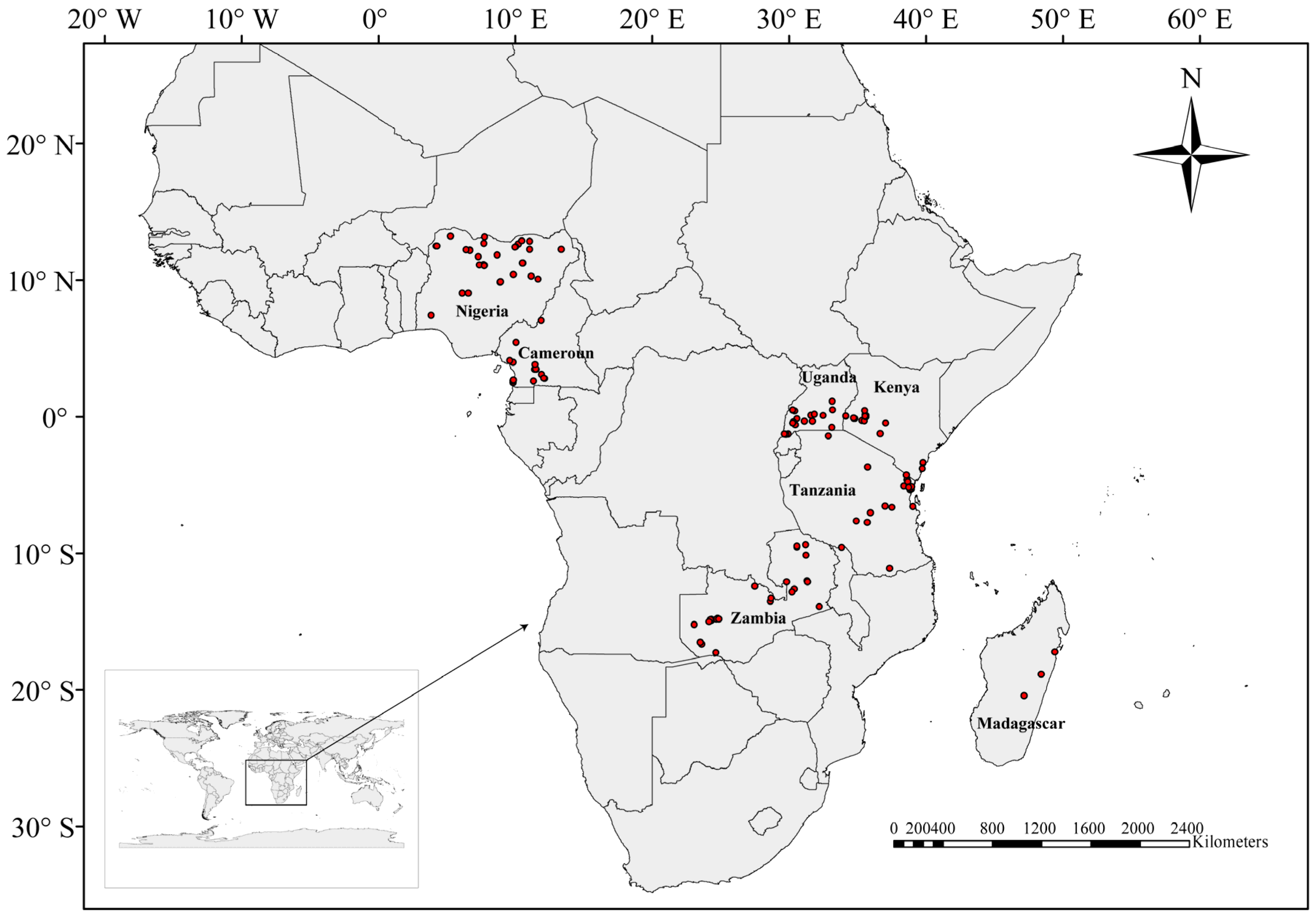 Plants 11 02431 g004 Plants 11 02431 g004