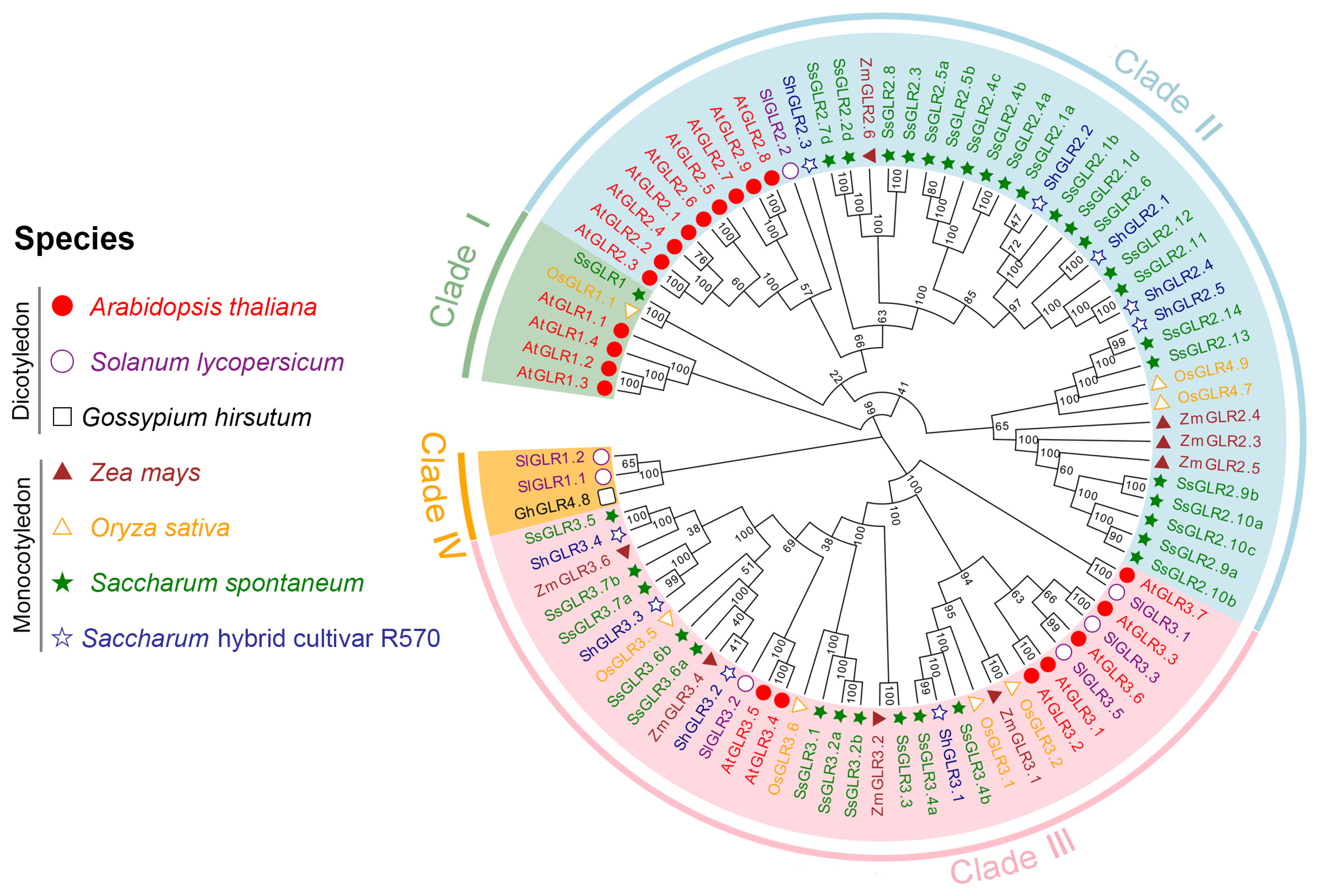 Plants 11 02440 g001 Plants 11 02440 g001