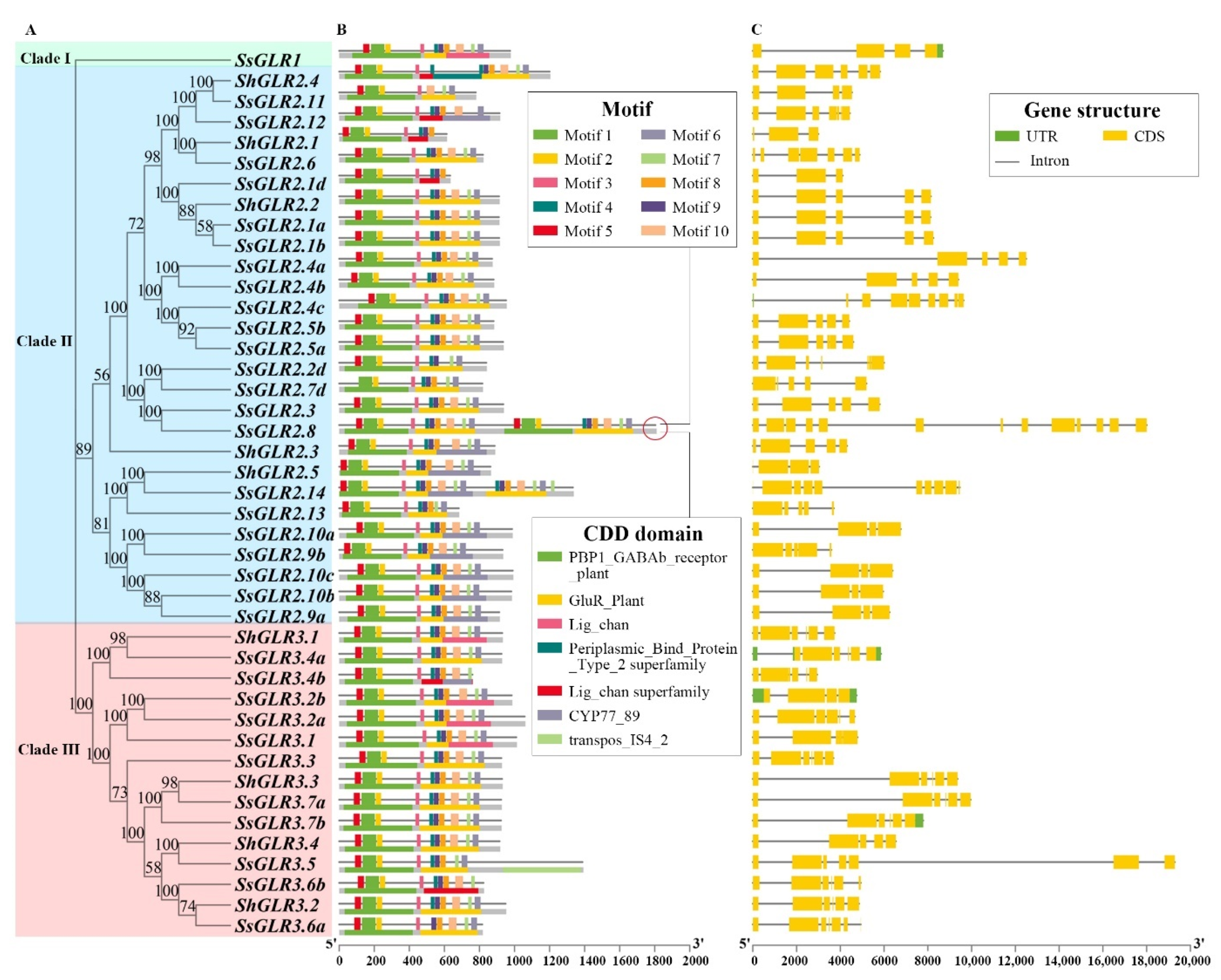 Plants 11 02440 g003 Plants 11 02440 g003