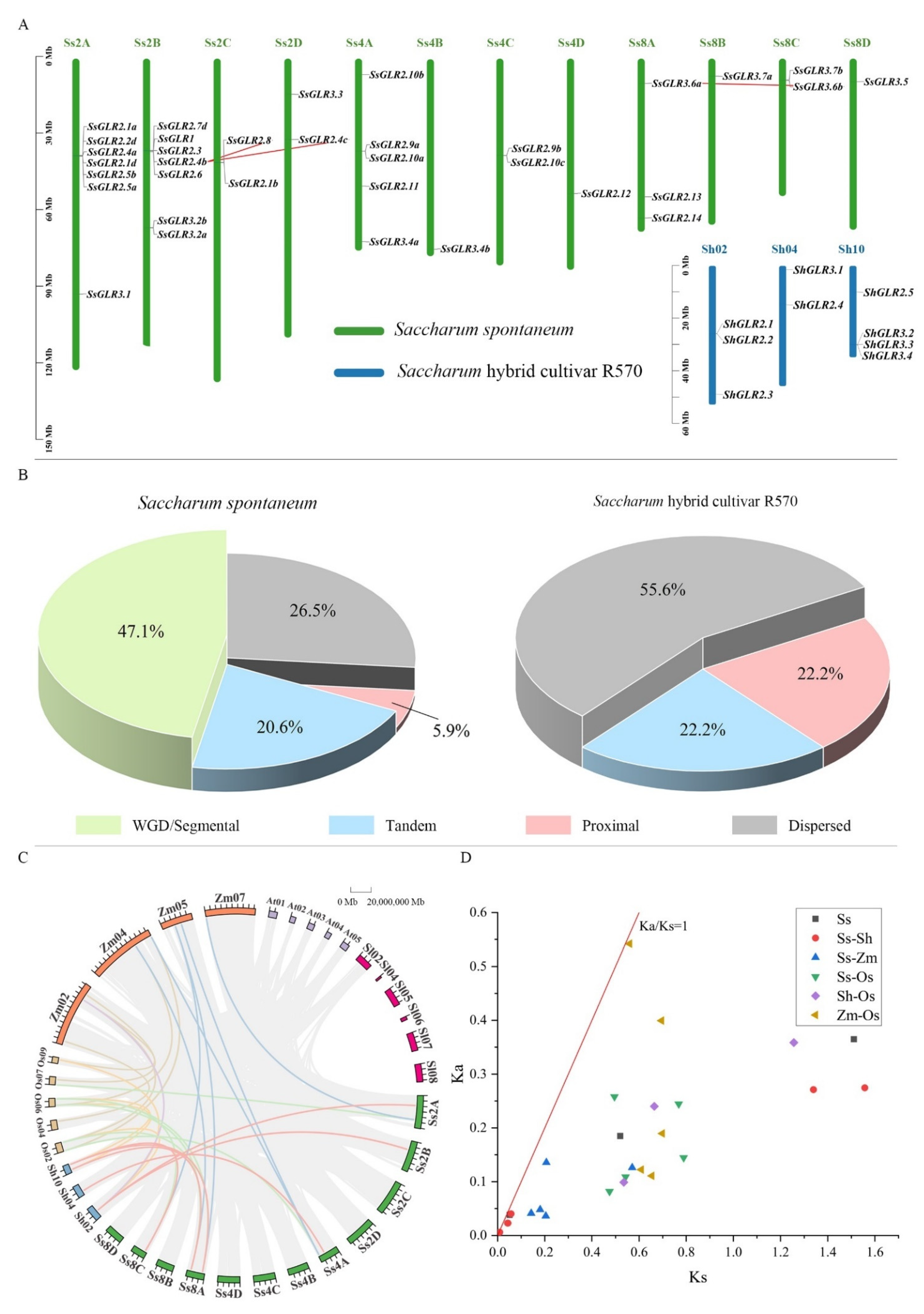 Plants 11 02440 g005 Plants 11 02440 g005