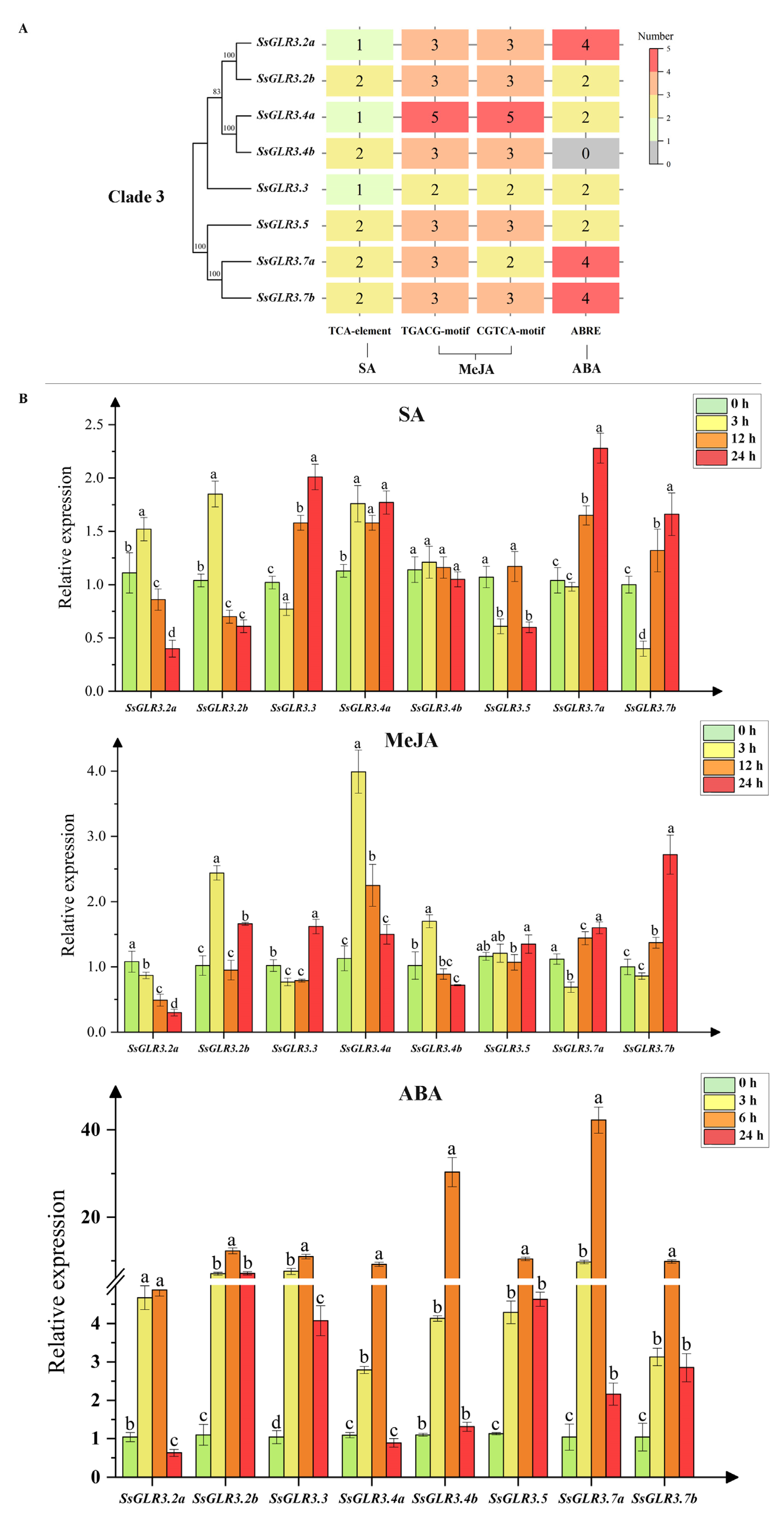 Plants 11 02440 g008 Plants 11 02440 g008