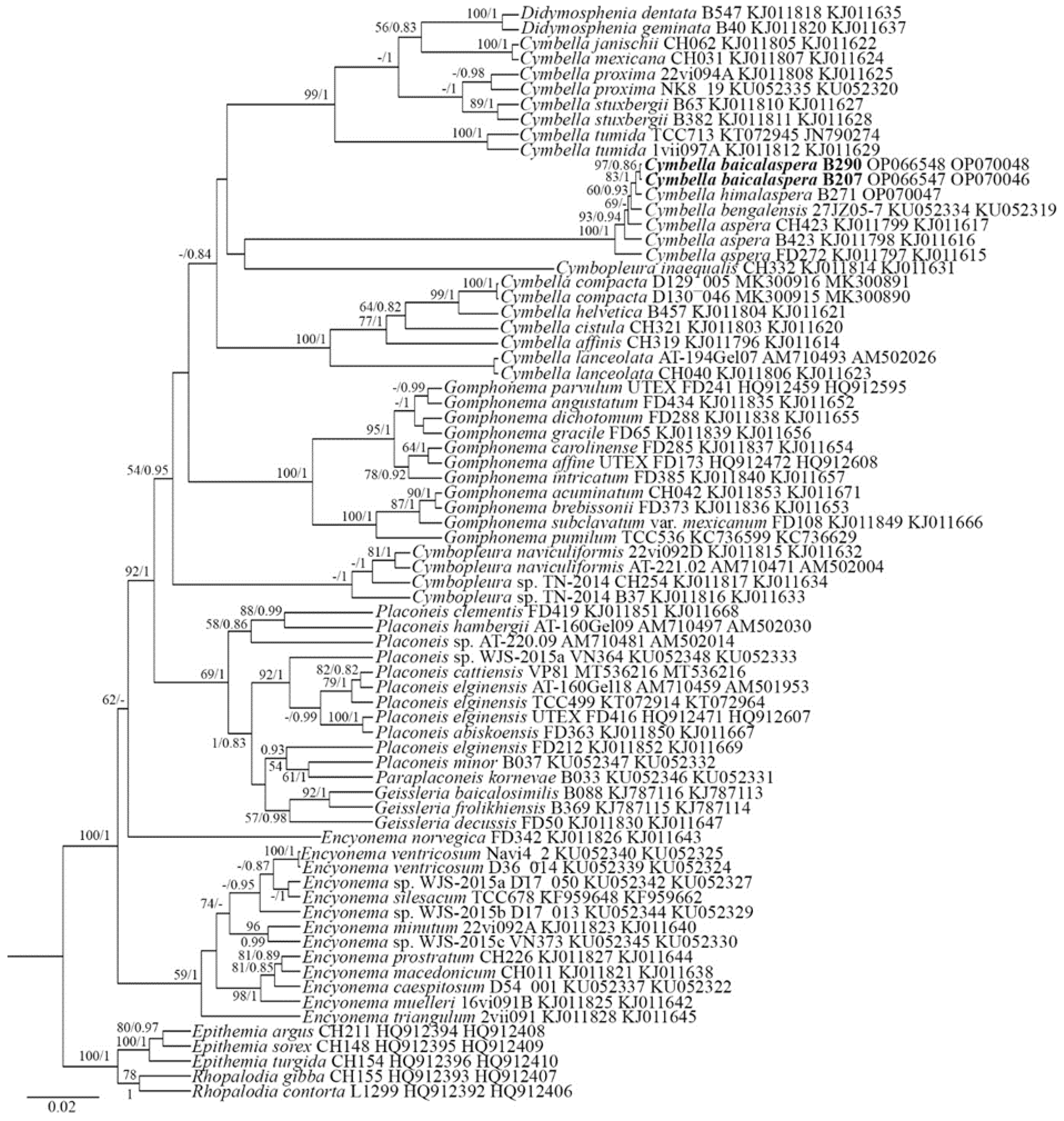 Plants 11 02445 g001 550