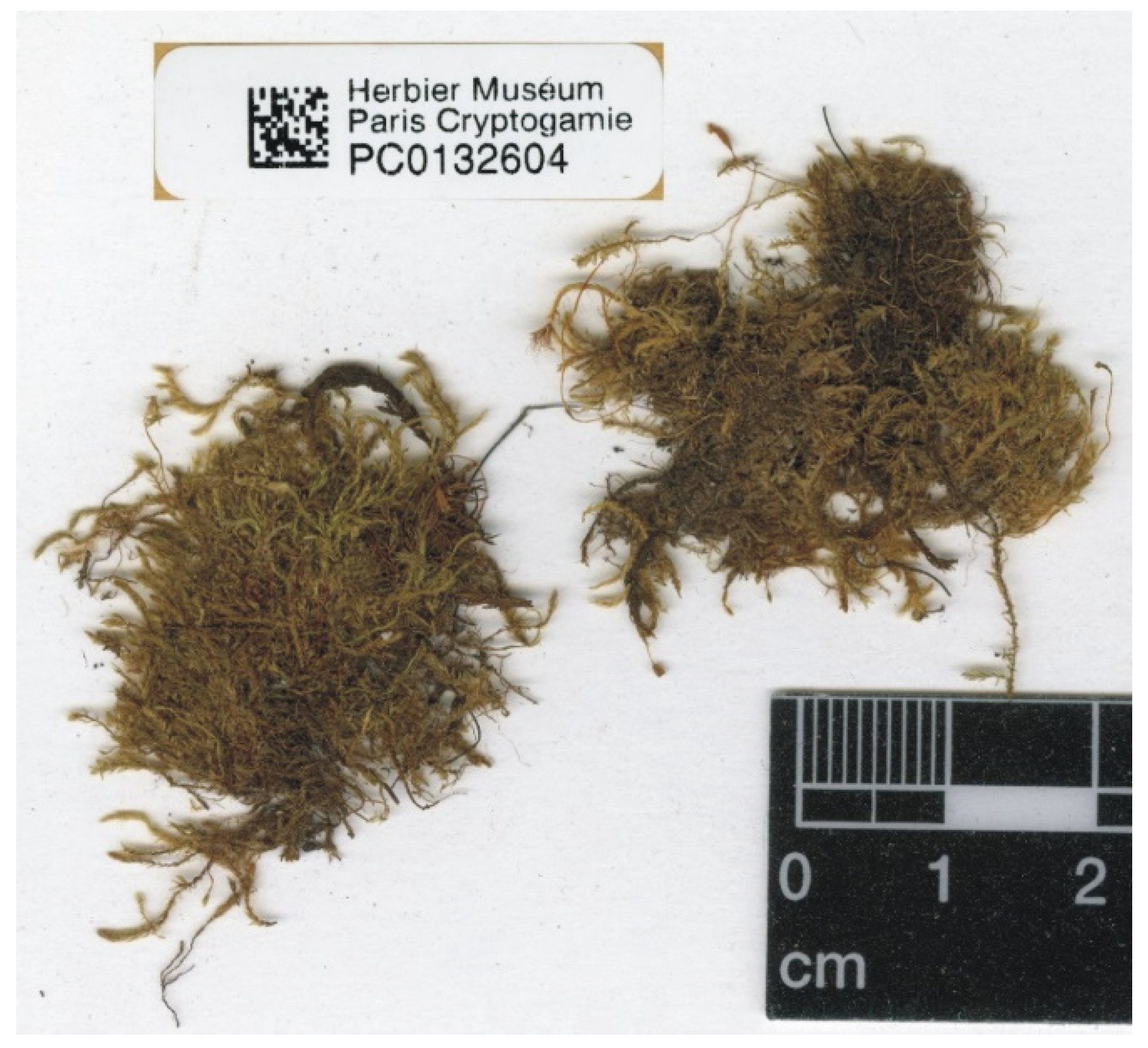 Plants 11 02446 g008 550