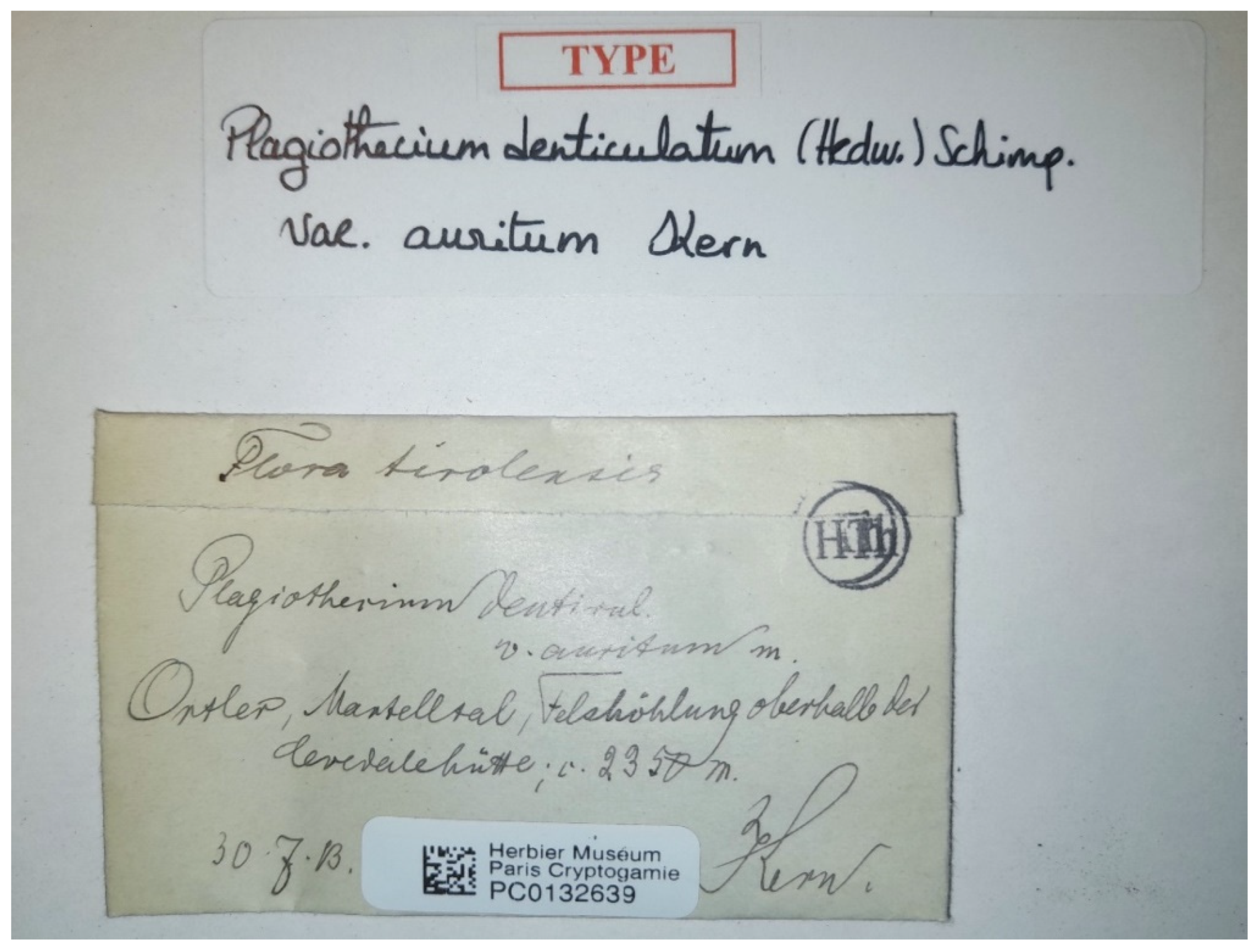 Plants 11 02446 g012 550