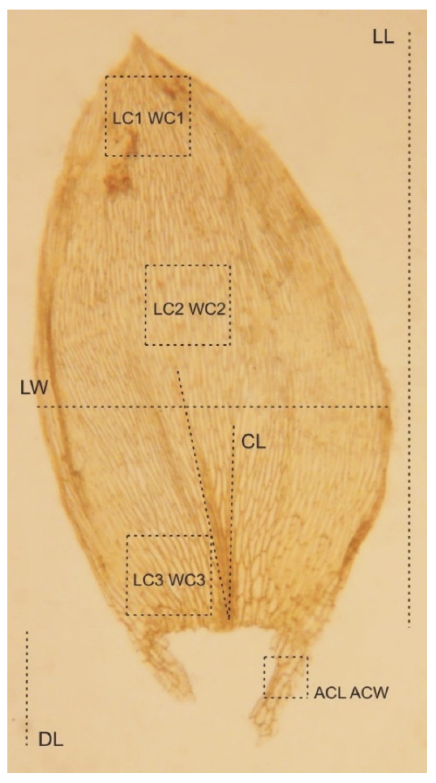 Plants 11 02446 g018 550