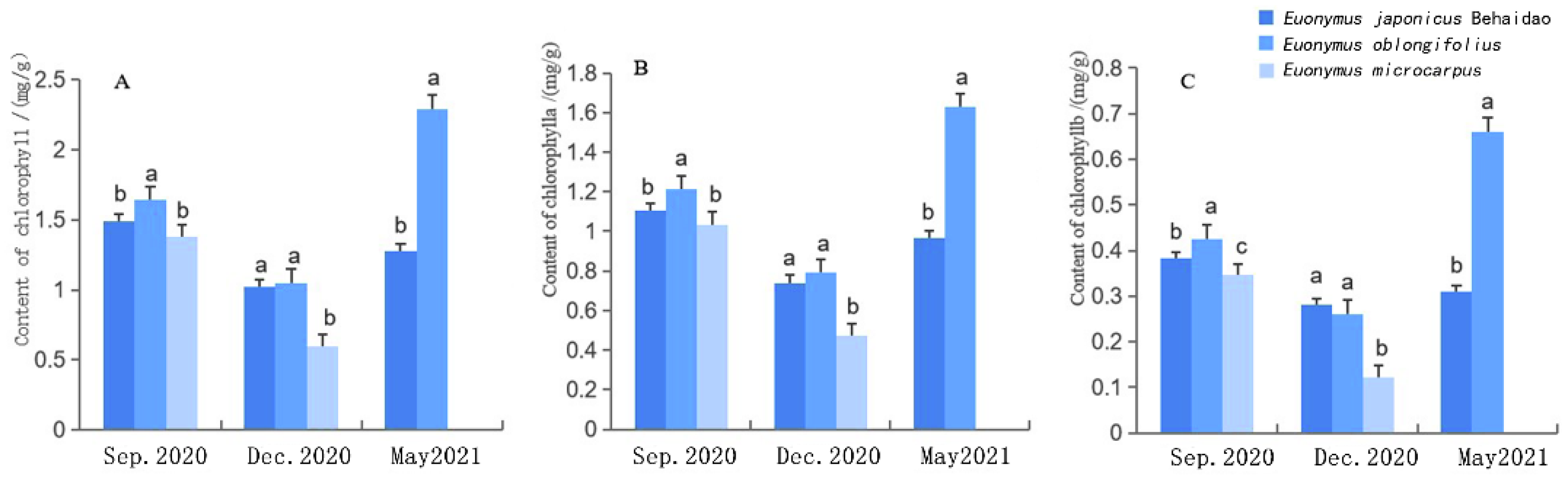 Plants 11 02449 g004