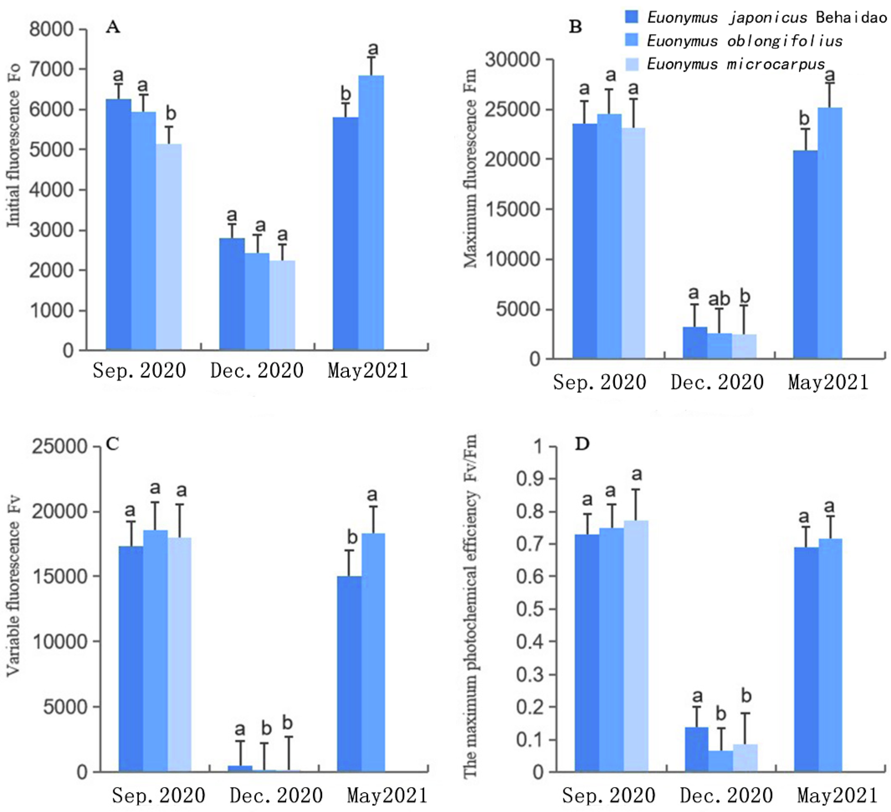Plants 11 02449 g005