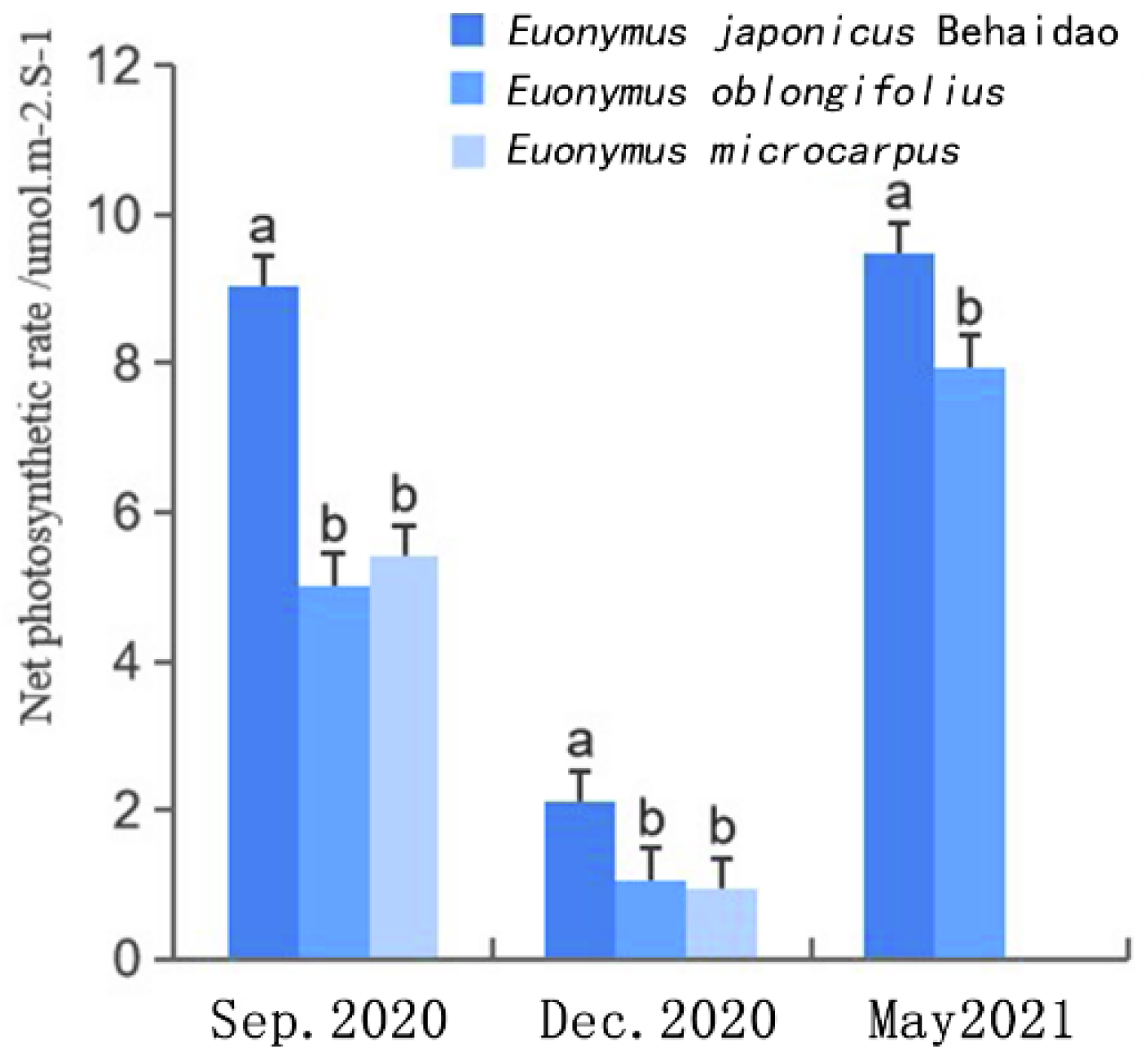 Plants 11 02449 g006