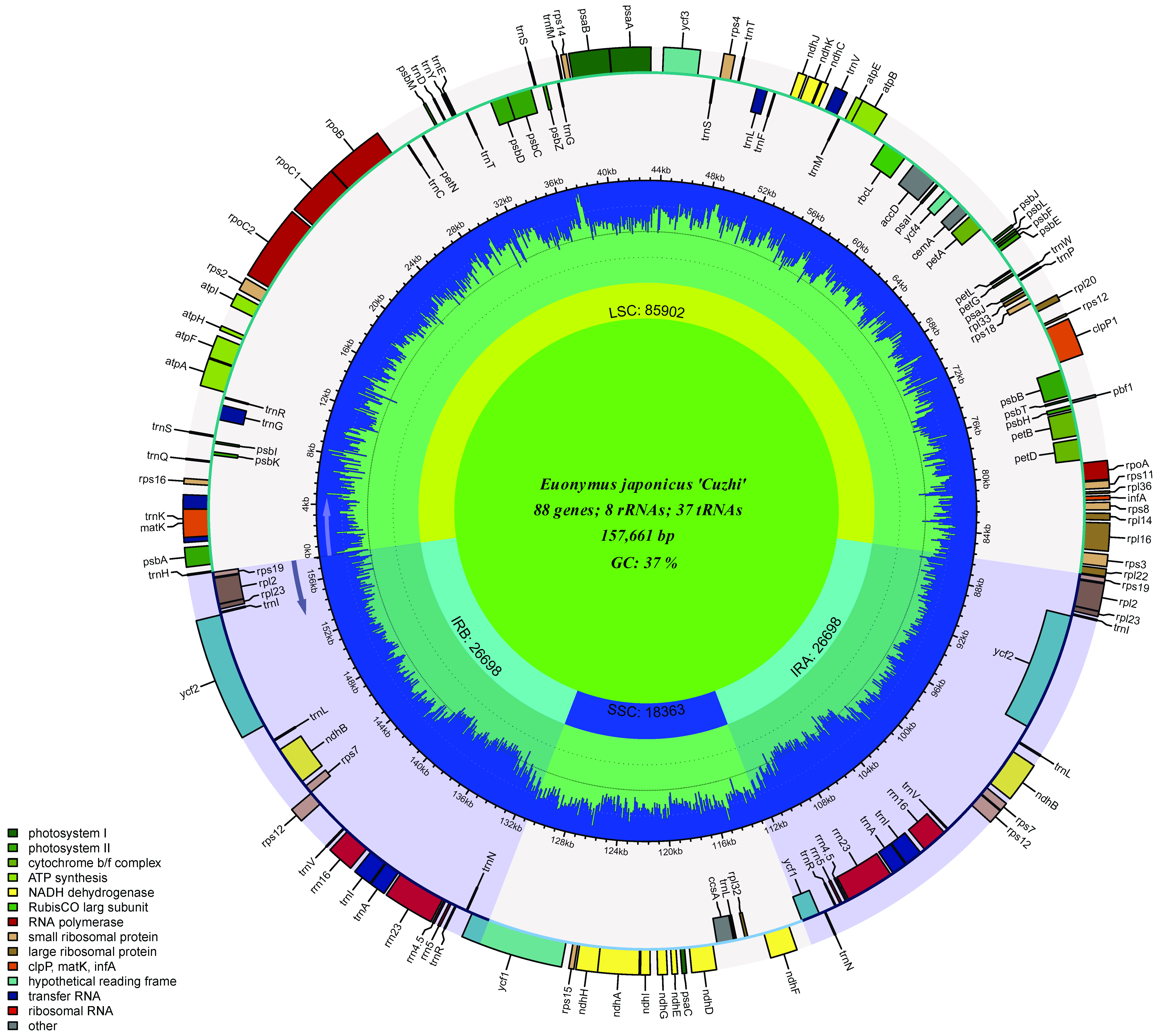 Plants 11 02449 g007