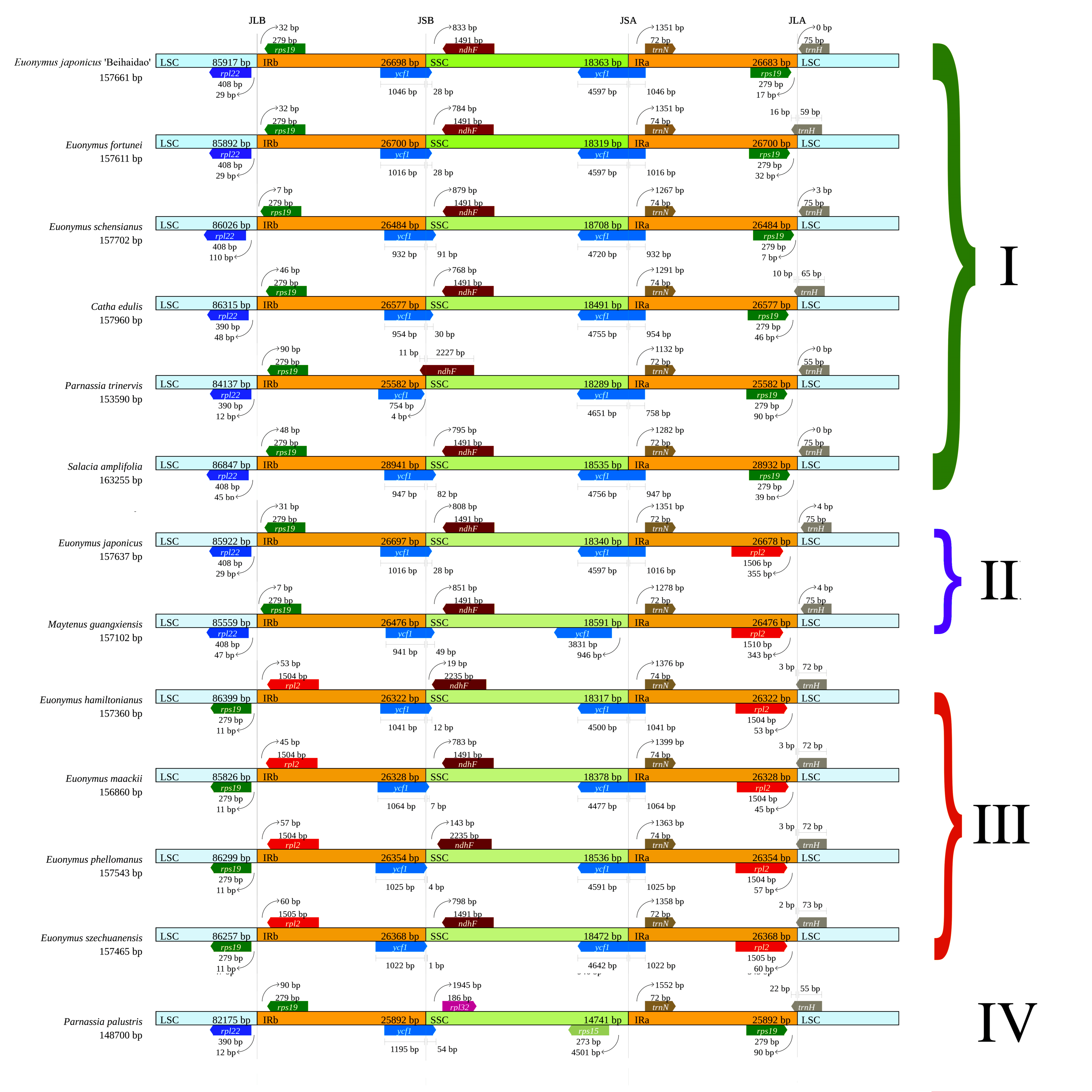 Plants 11 02449 g008