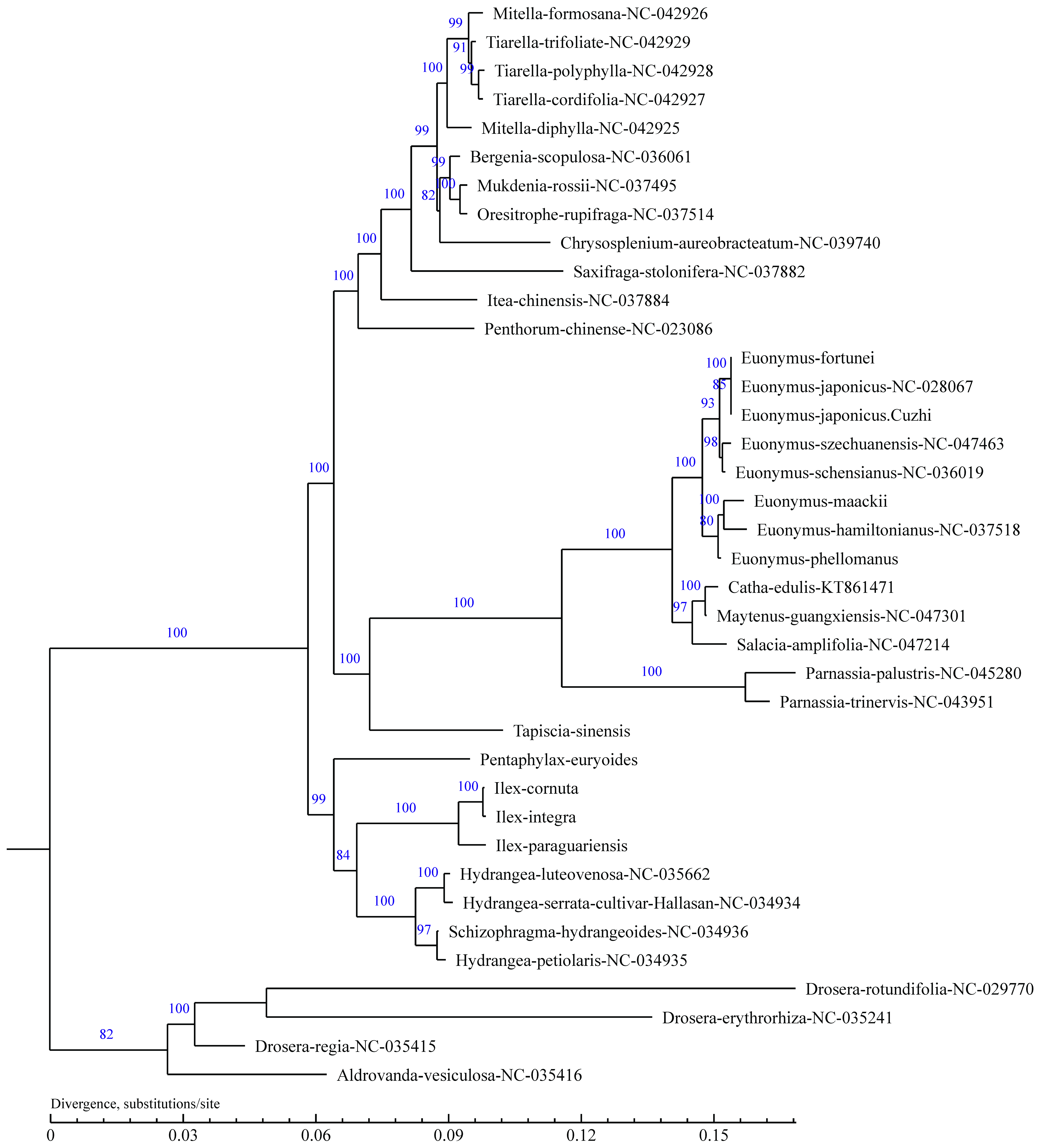 Plants 11 02449 g010