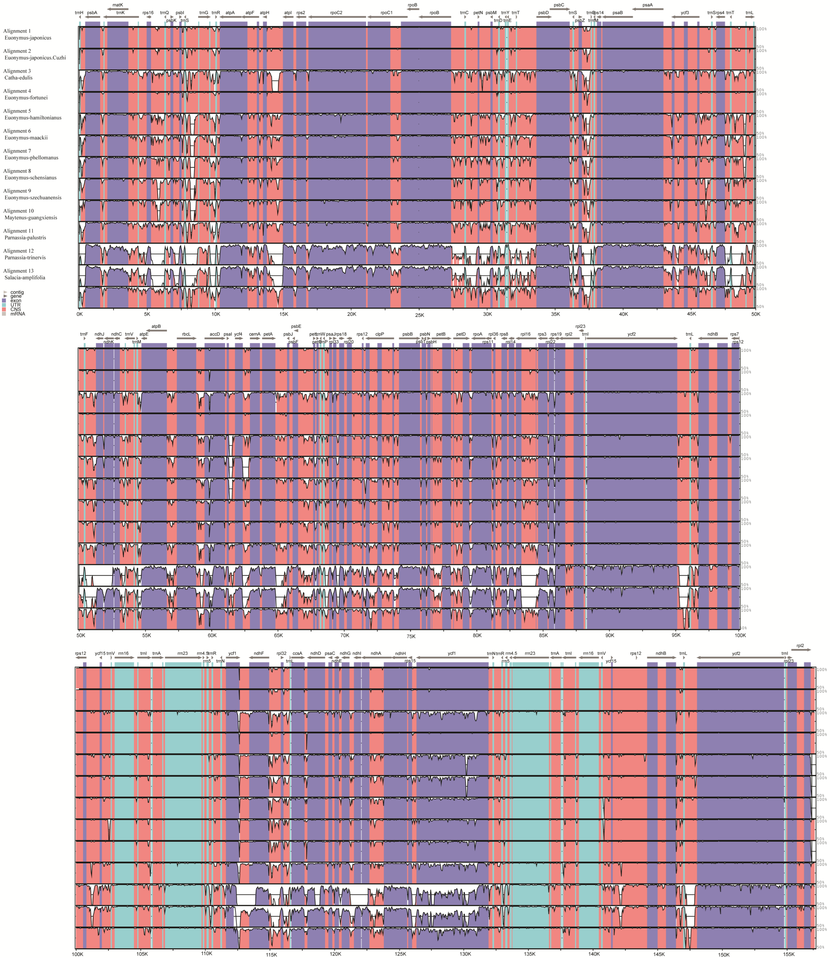Plants 11 02449 g011