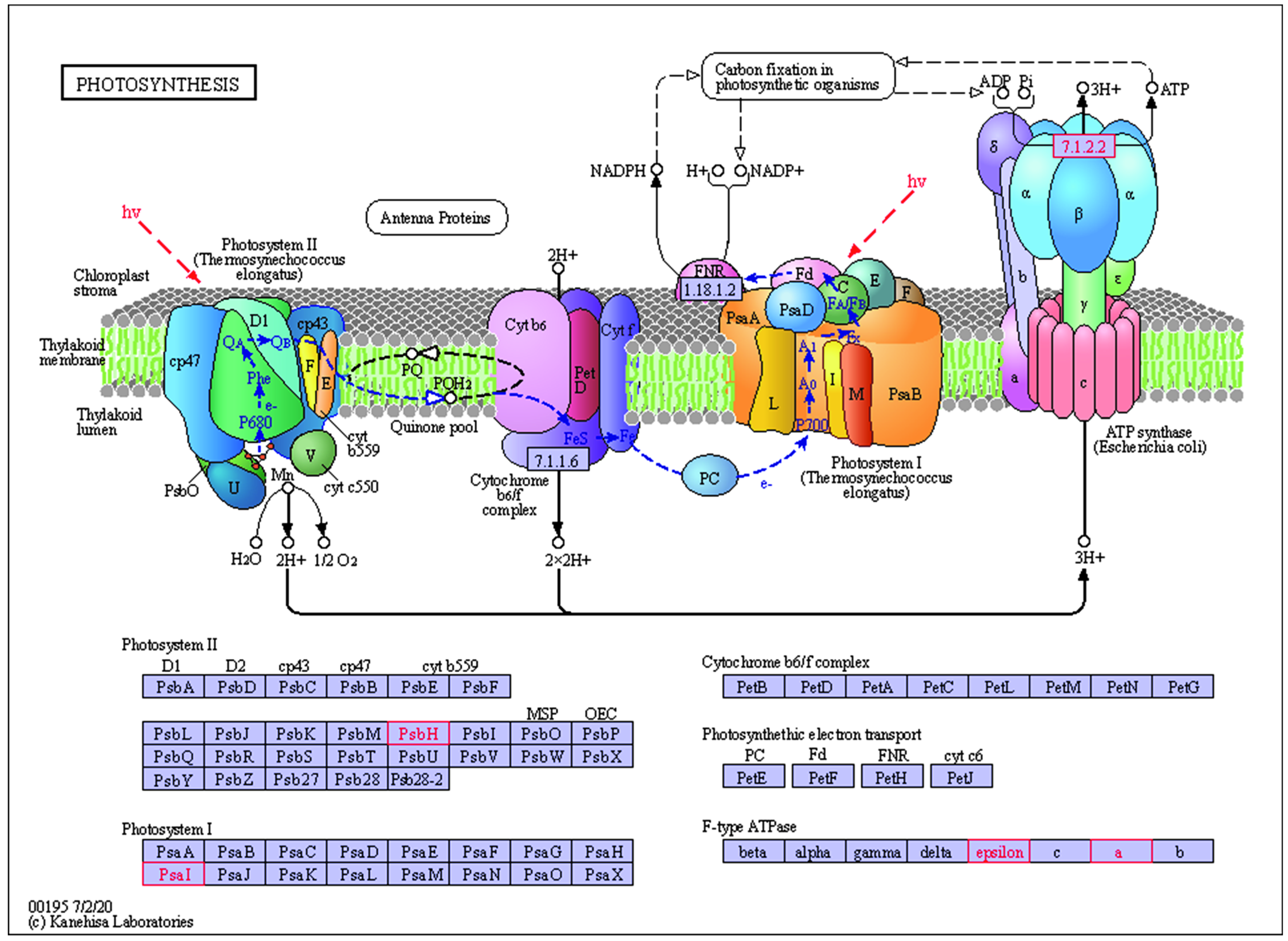 Plants 11 02449 g014