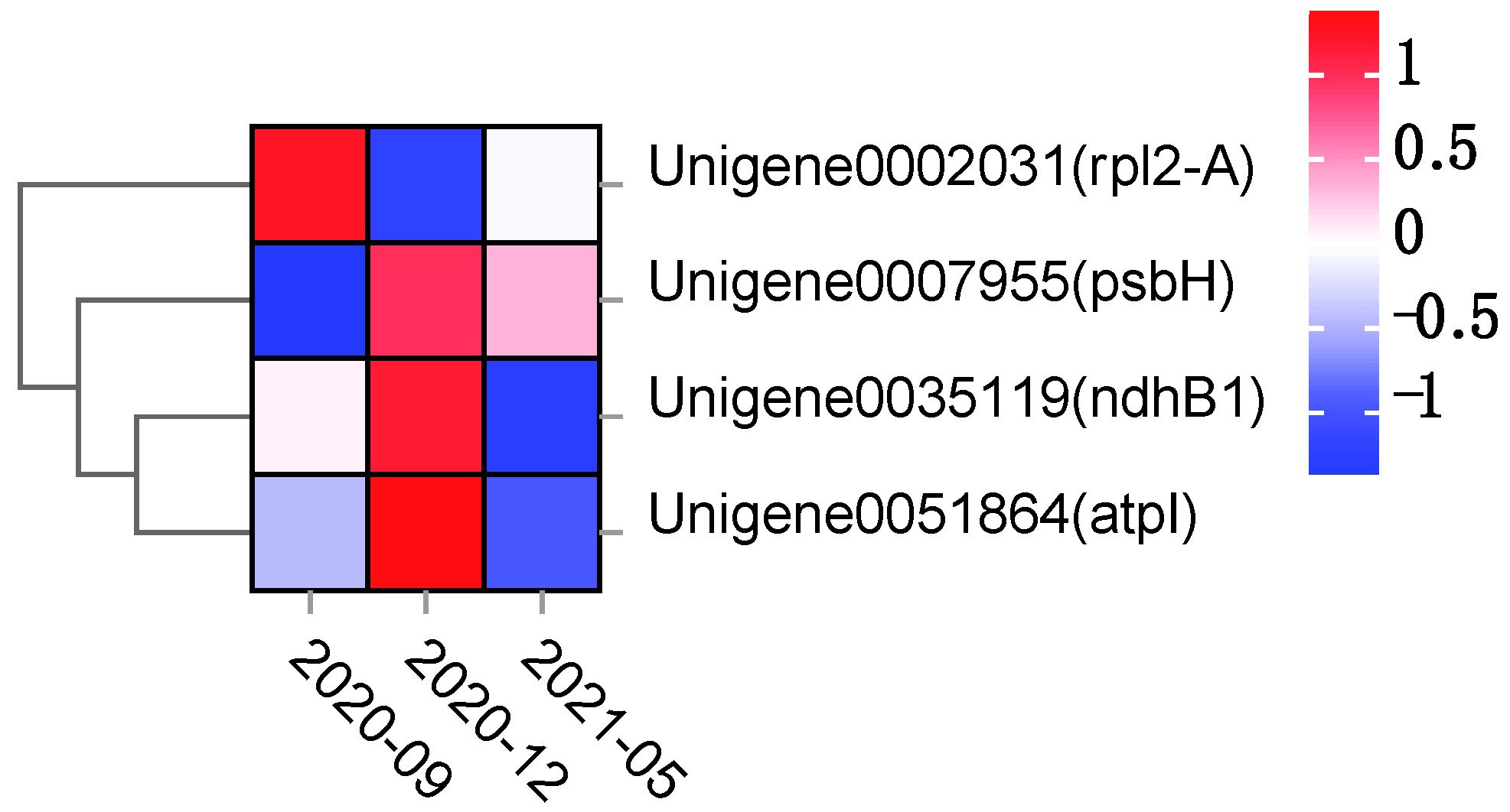 Plants 11 02449 g016