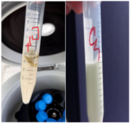 Plants 11 02454 i003