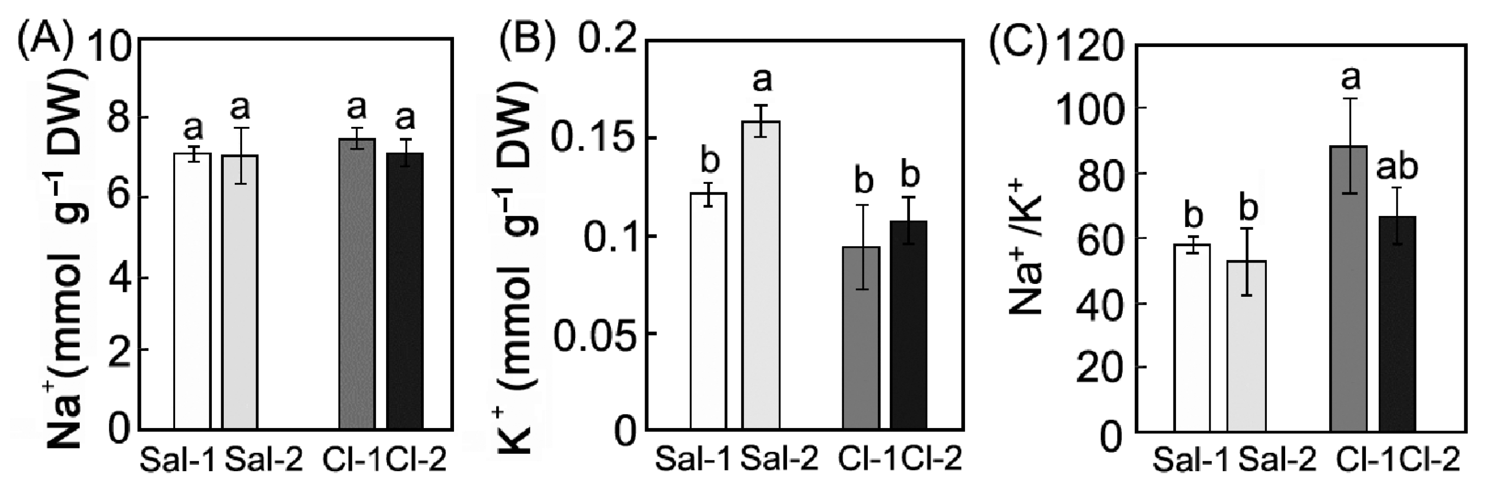 Plants 11 02461 g001 Plants 11 02461 g001