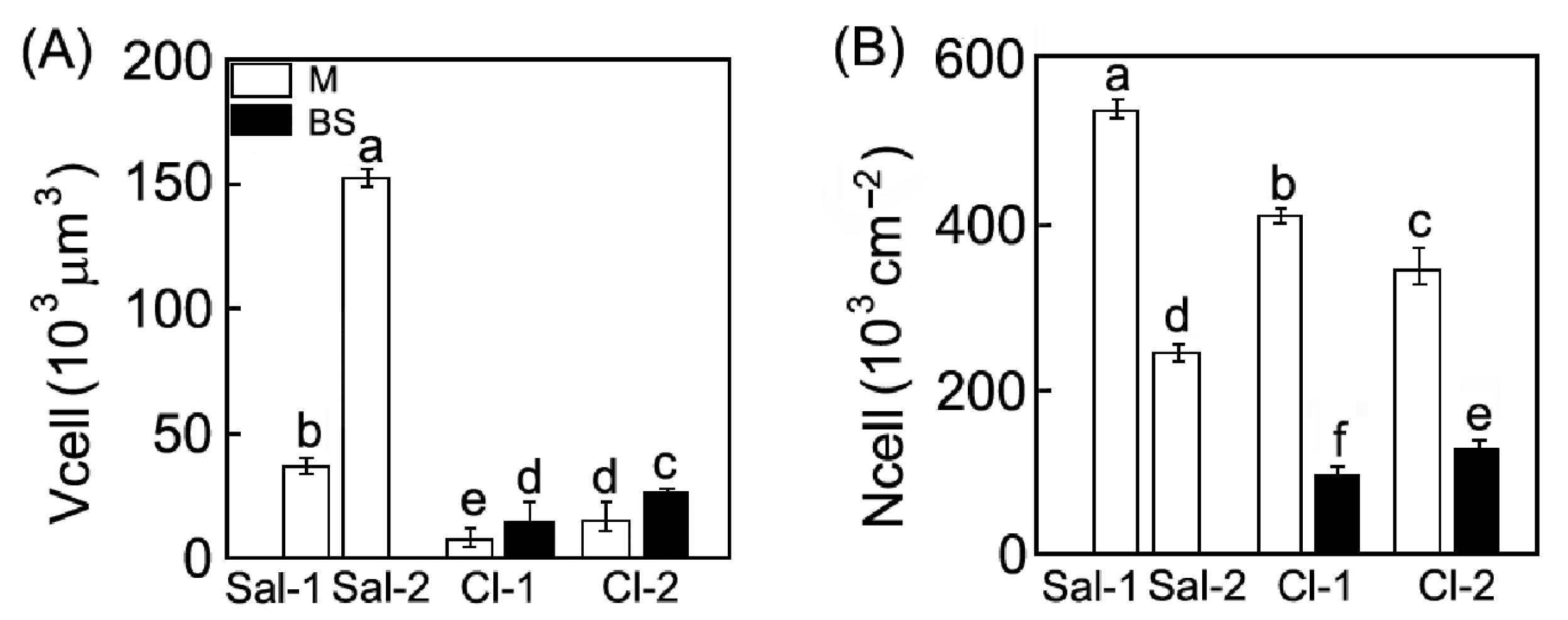 Plants 11 02461 g003 Plants 11 02461 g003