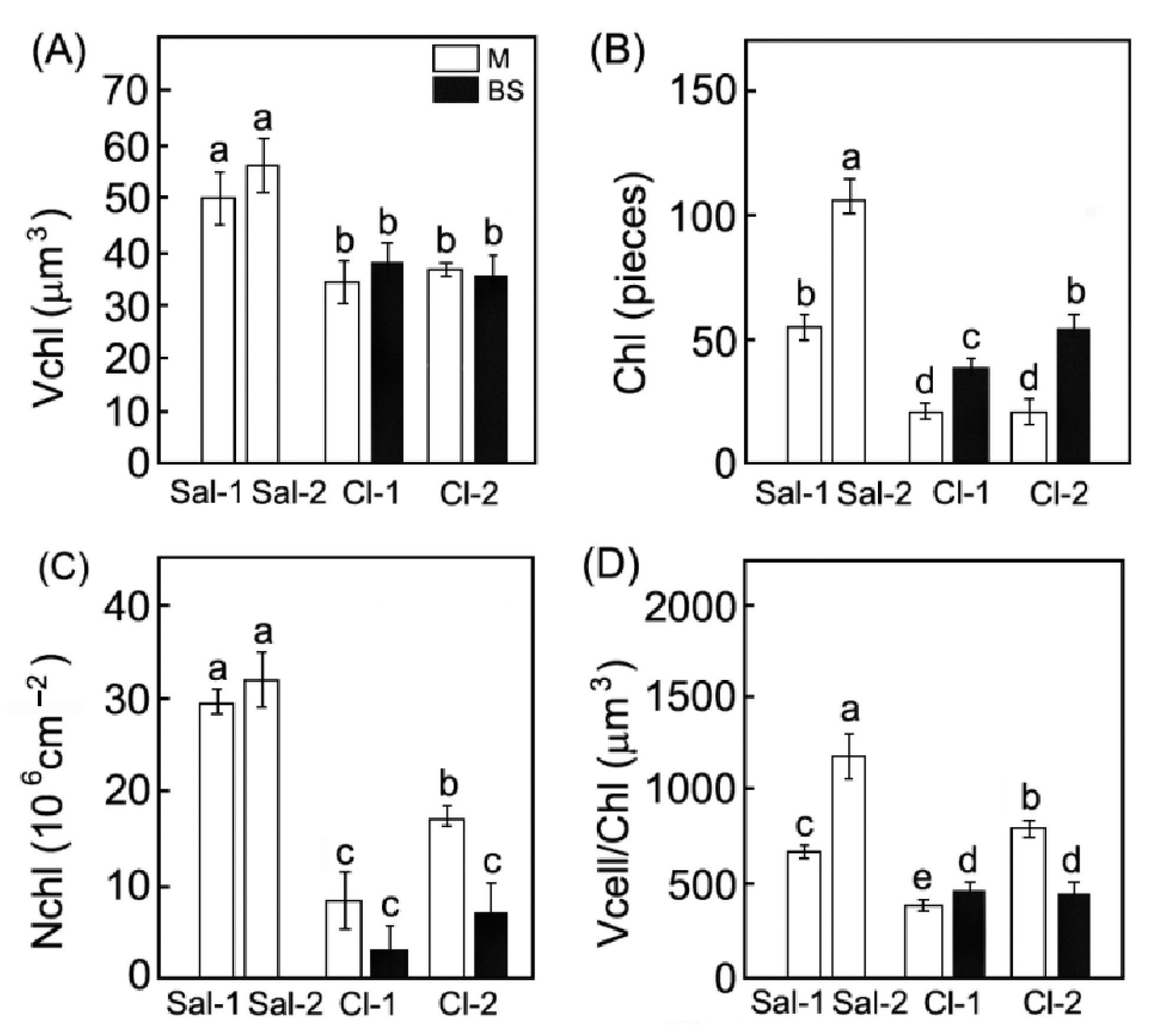 Plants 11 02461 g004 Plants 11 02461 g004