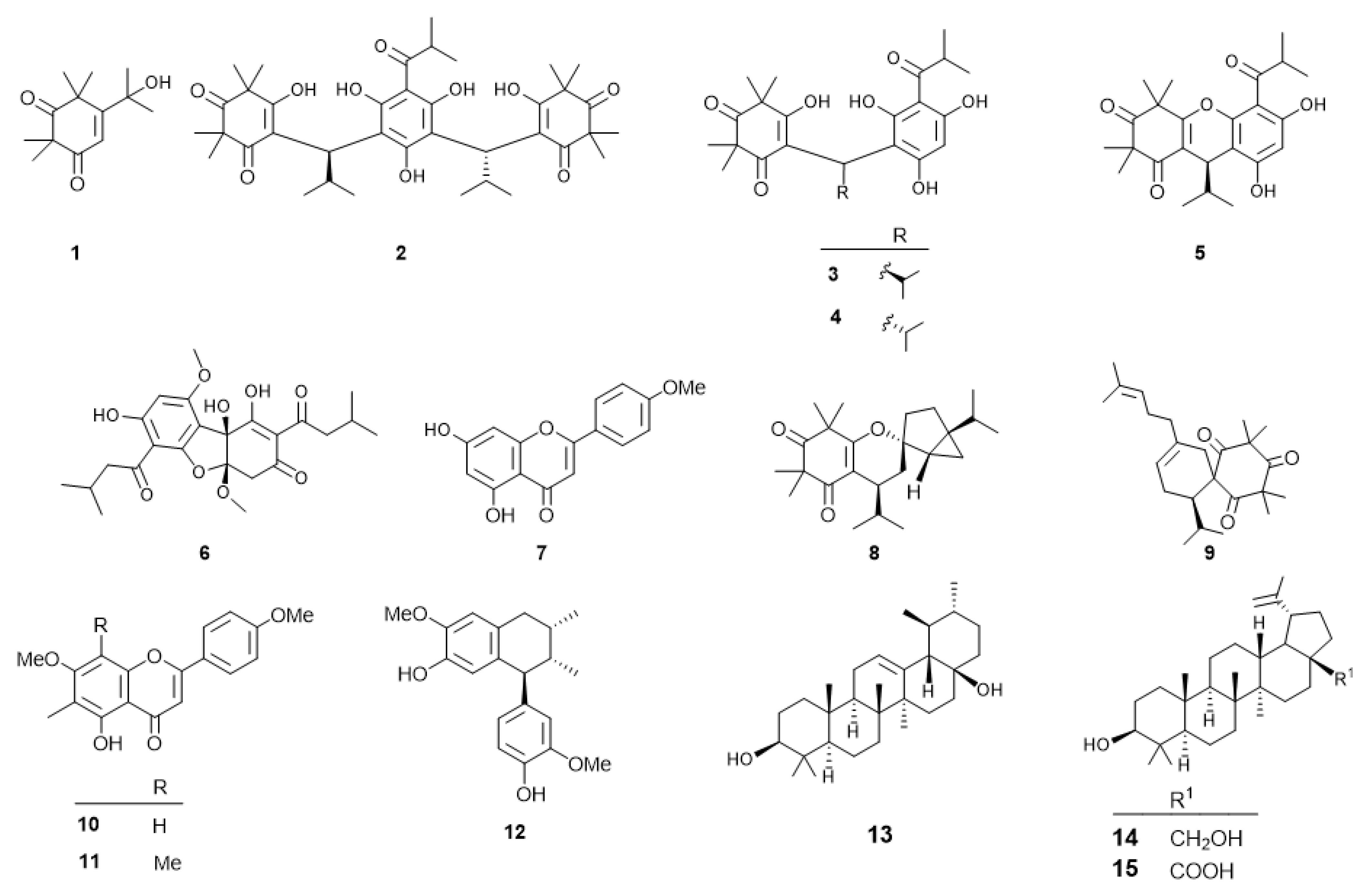 Plants 11 02466 g001