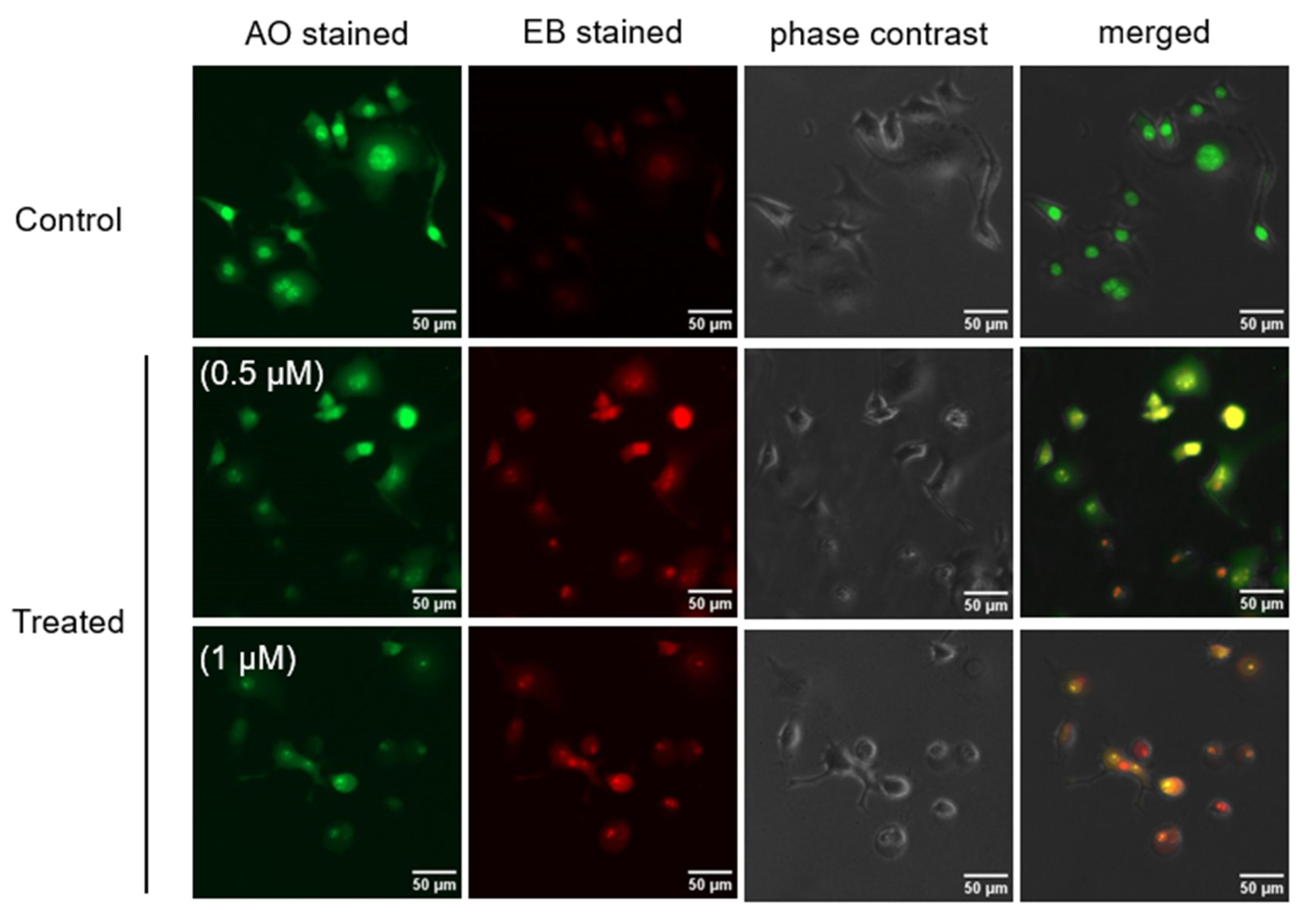 Plants 11 02466 g004