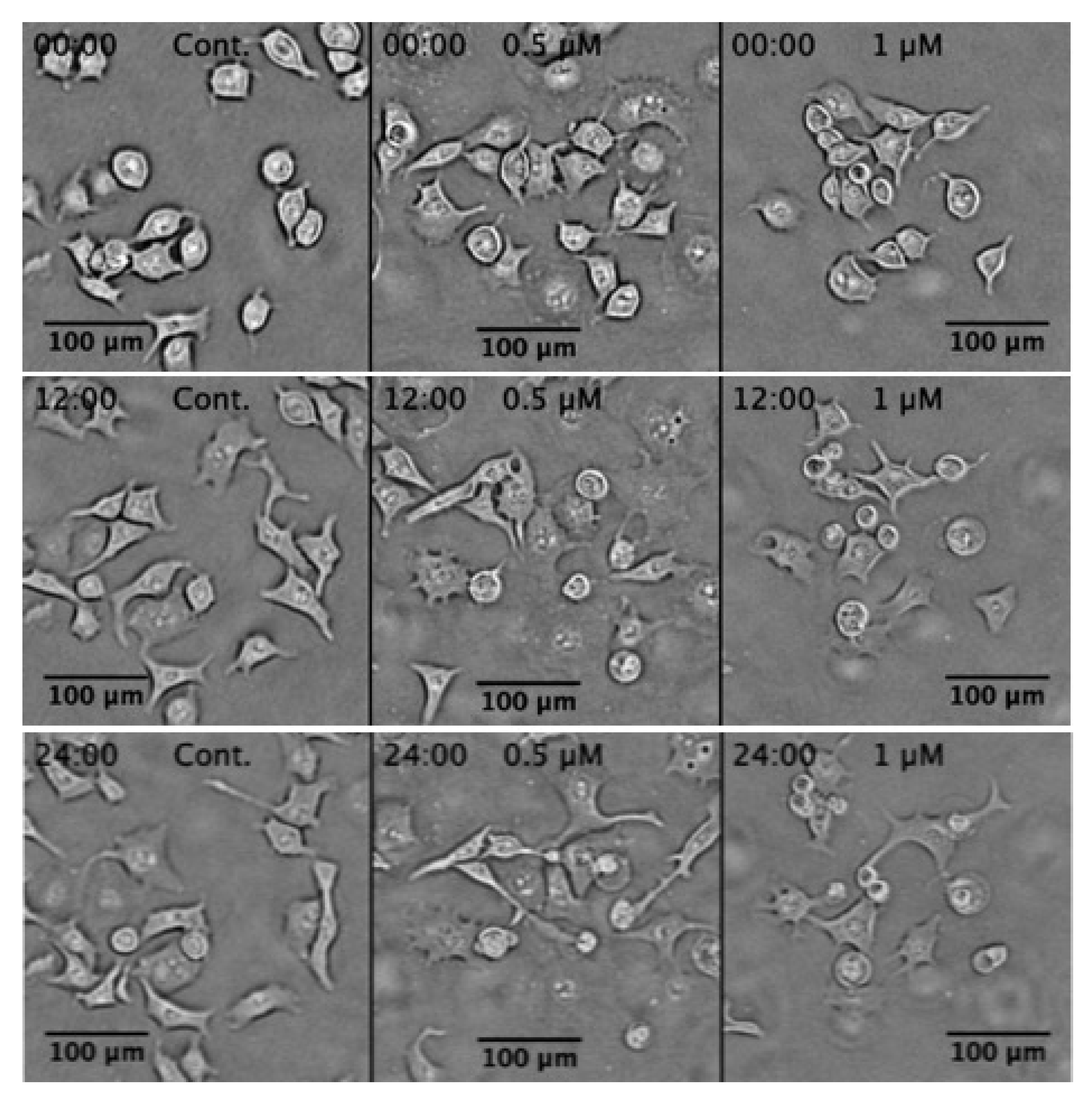 Plants 11 02466 g005