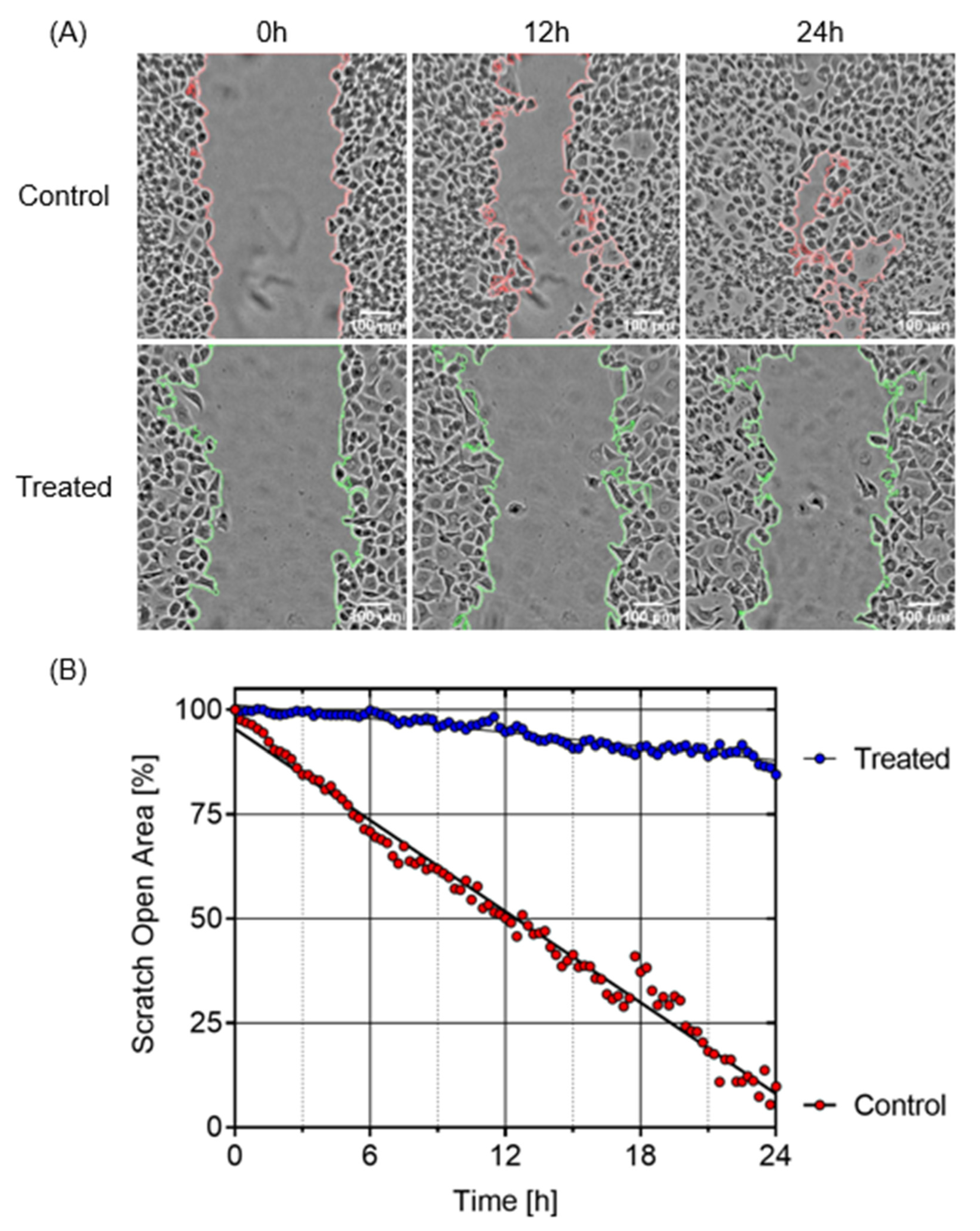 Plants 11 02466 g006