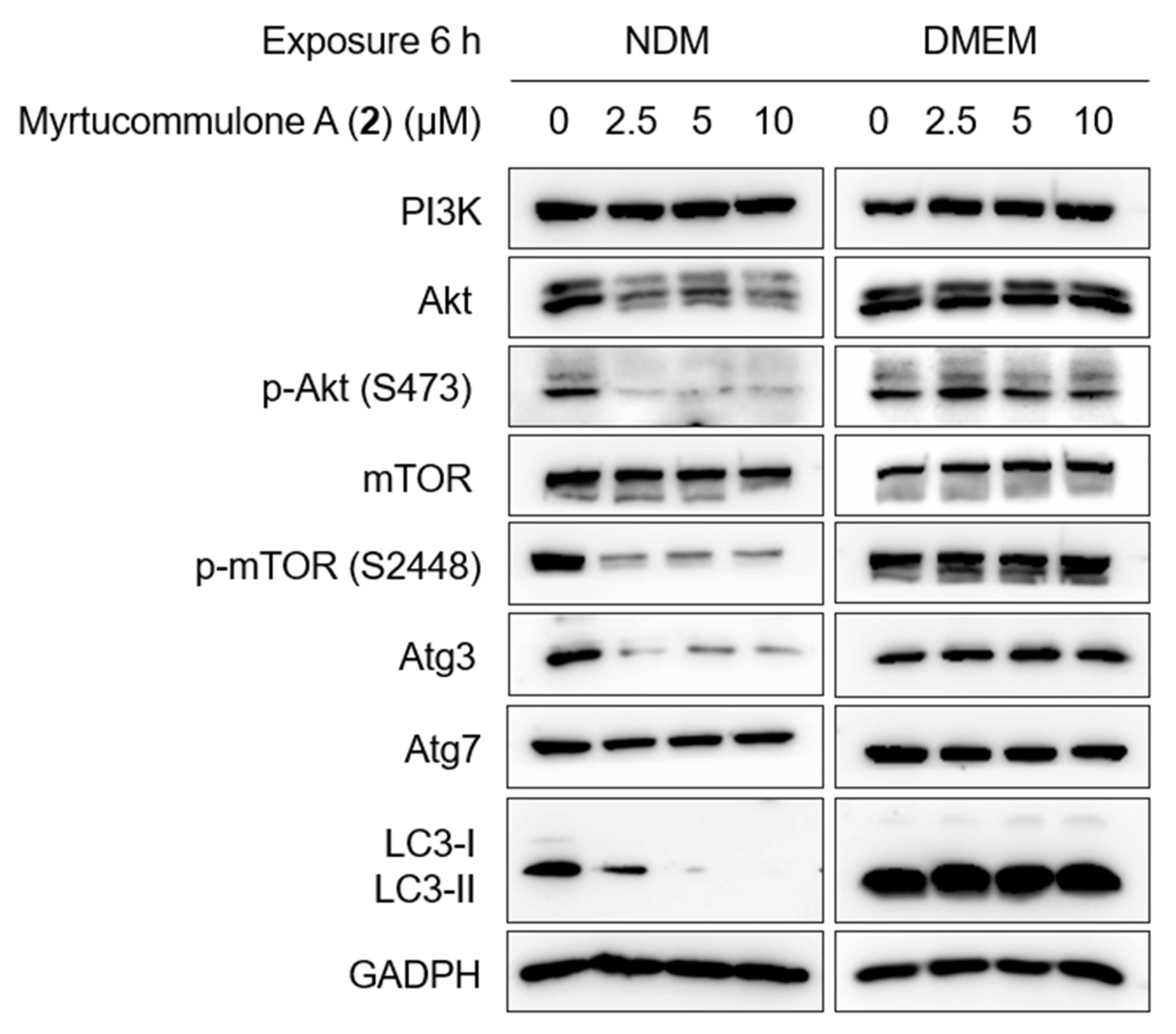 Plants 11 02466 g007