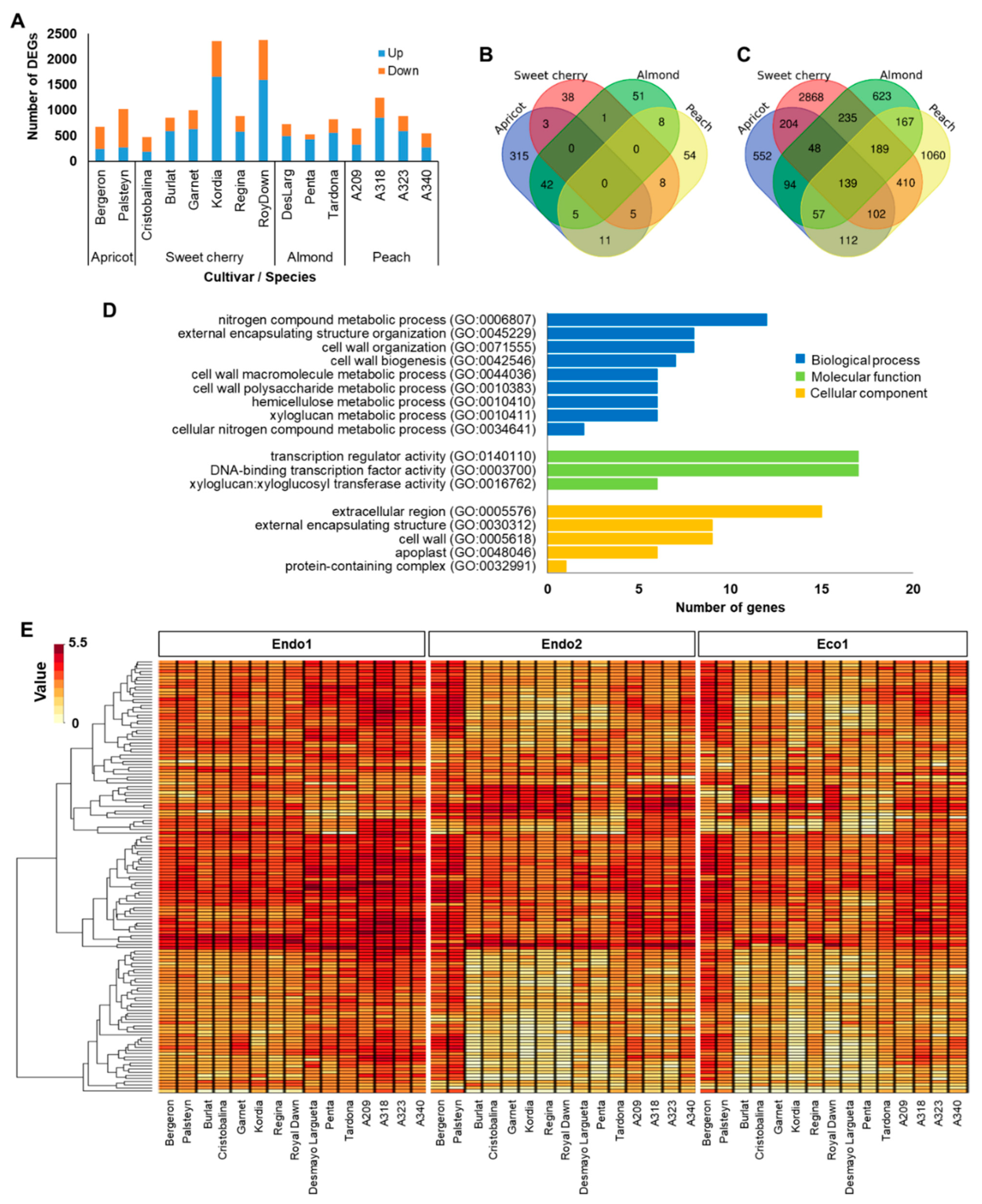 Plants 11 02469 g001 Plants 11 02469 g001