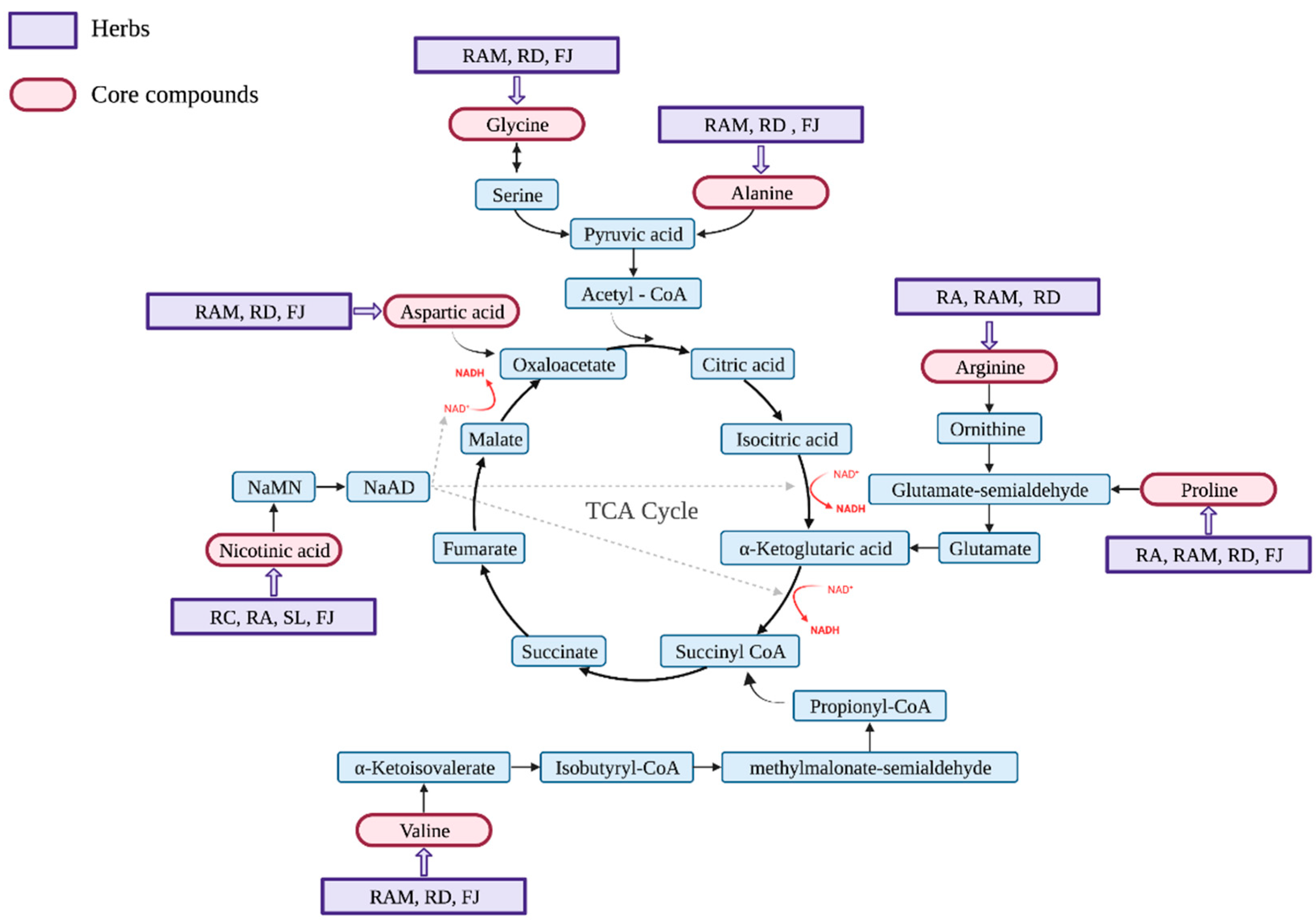 Plants 11 02470 g002 Plants 11 02470 g002